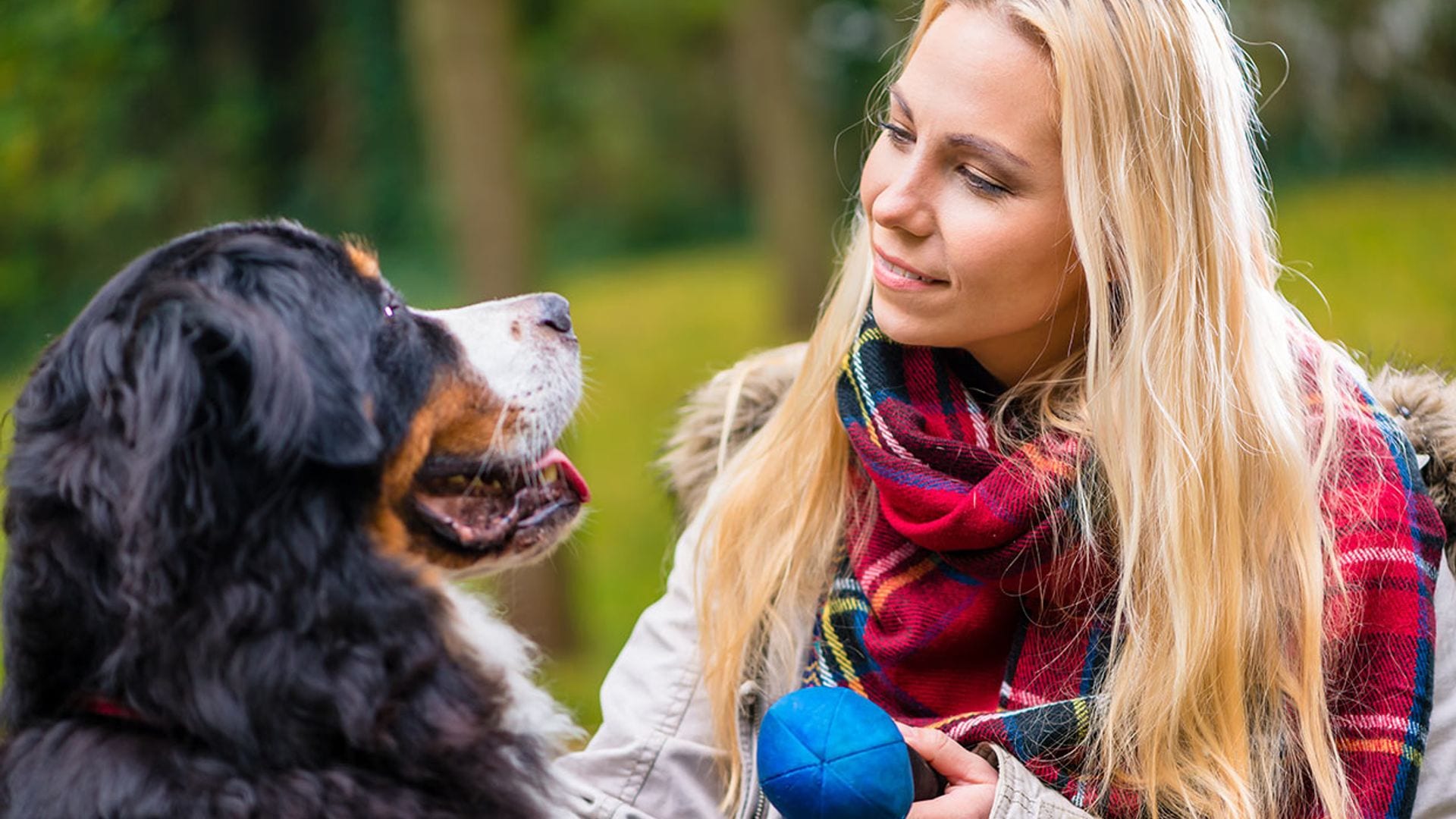 ¿Sabías que la personalidad de los perros también cambia a lo largo de la vida?