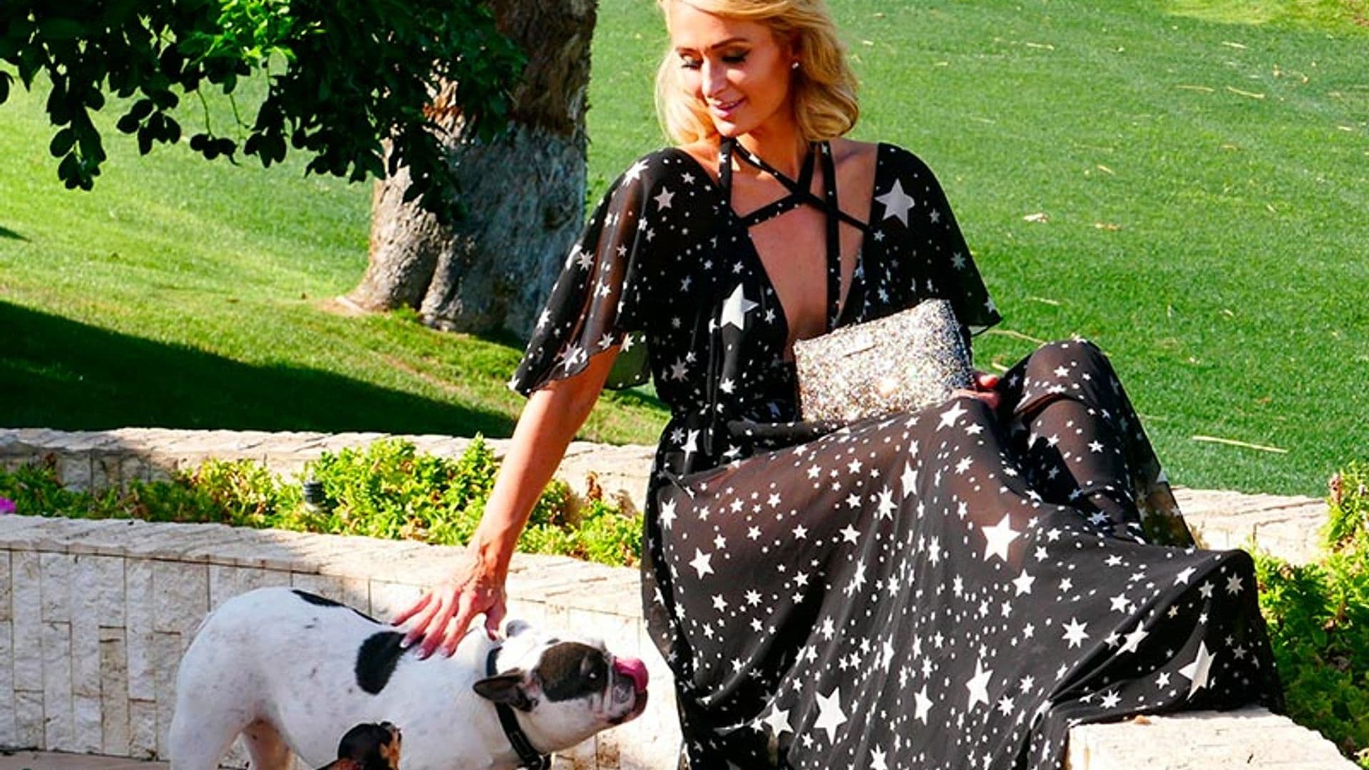 ¡A pares! Las 'celebrities' que no se conforman con un único perro en casa