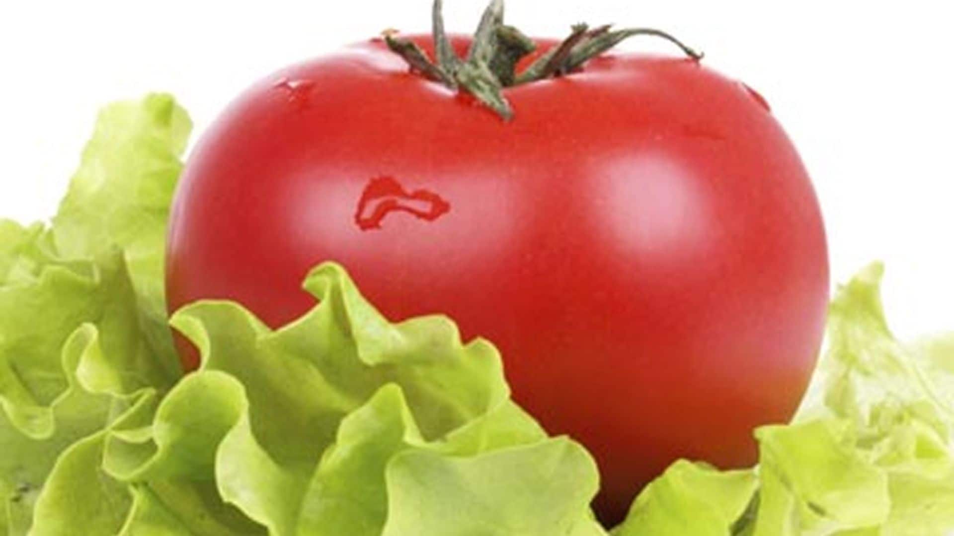 Ensalada de lechuga y tomate: ¿quién dijo aburrimiento?