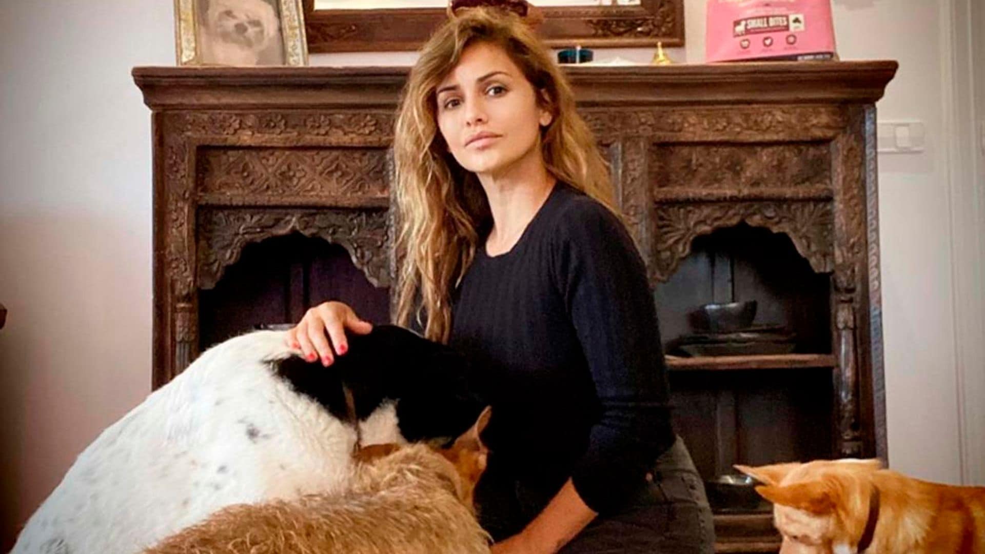 Feliz junto a su hija Antonella, sus 6 perros y en el campo: así es la vida de Mónica Cruz