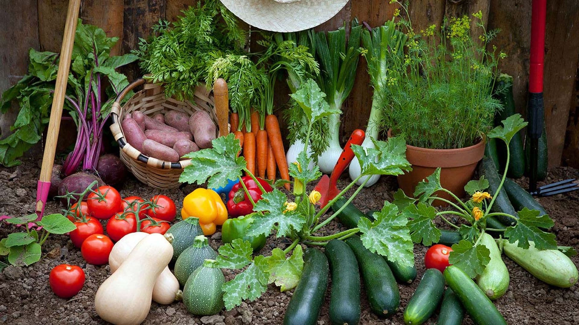 Huerto en casa: 10 hortalizas que puedes sembrar en primavera