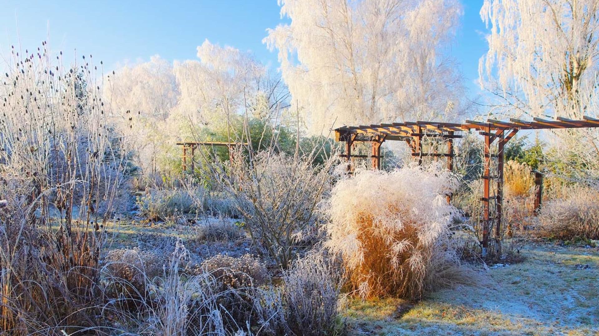 Invierno, una época ideal para planificar el diseño del jardín