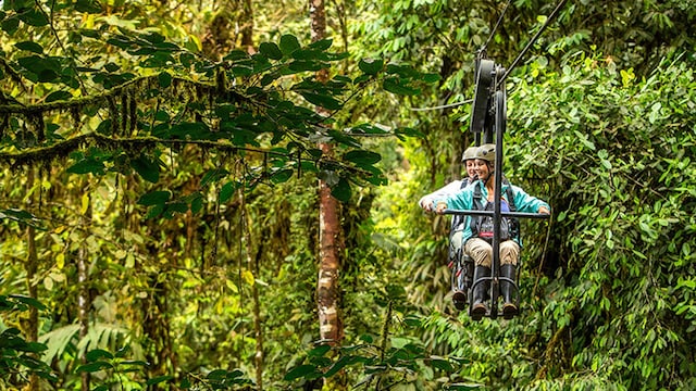 bosque choco ecuador 1