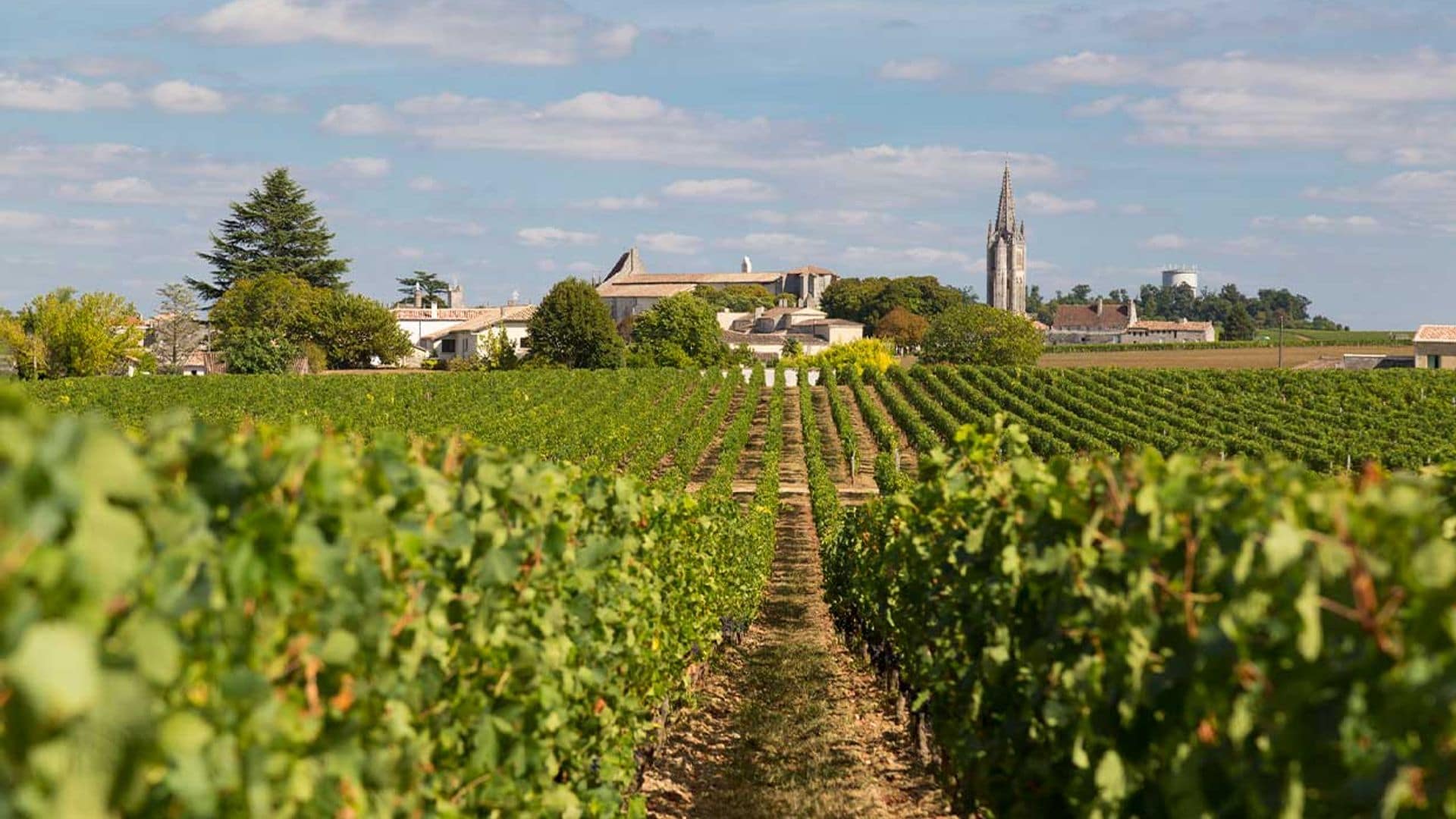 Saint-Émilion: un destino único para los amantes del vino