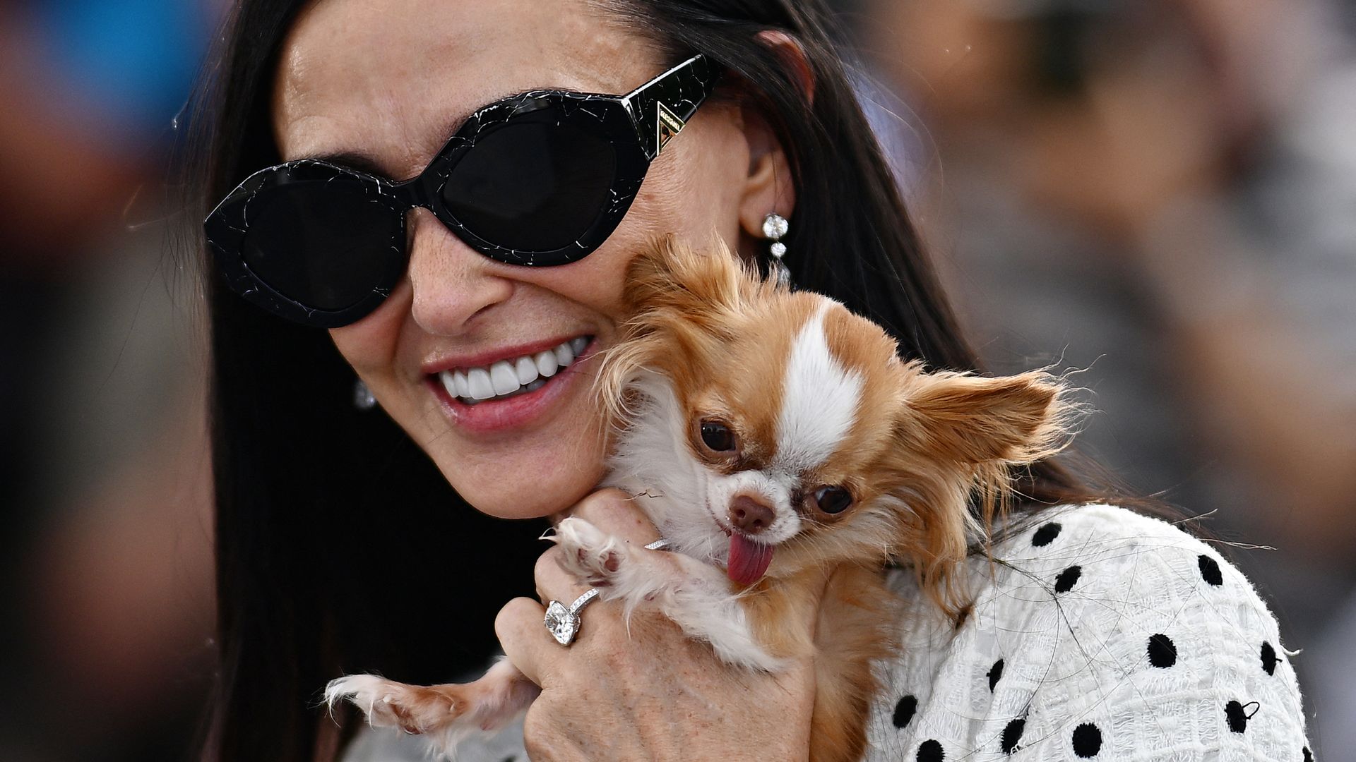 Estos son los momentos más icónicos de Pilaf, la mascota de Demi Moore