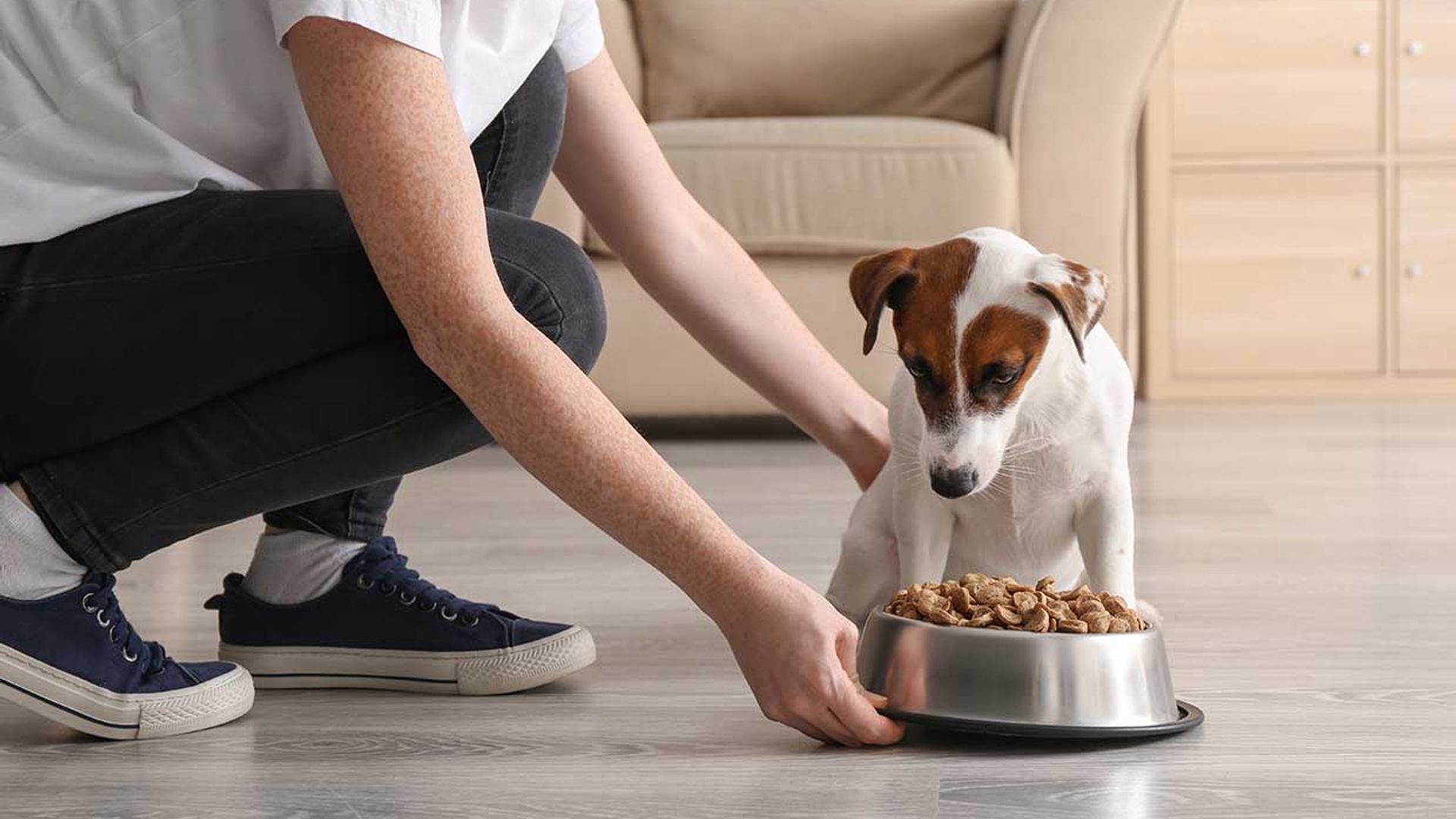 Dime de qué raza es tu perro y te diré qué comida le sienta mejor