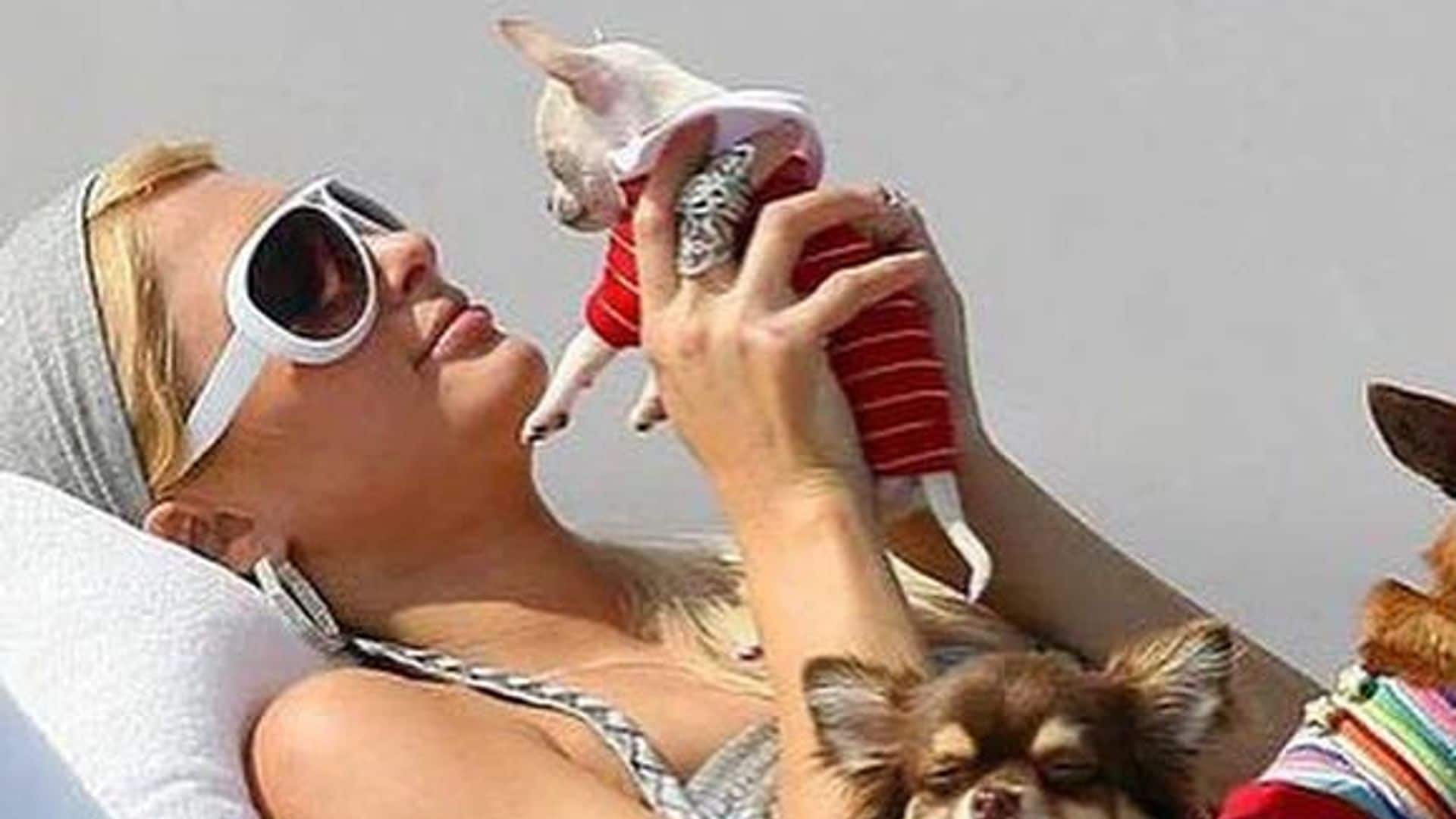 Paris Hilton lamenta la muerte de su perrita chihuahua: ‘Era más que una mascota, era mi familia’