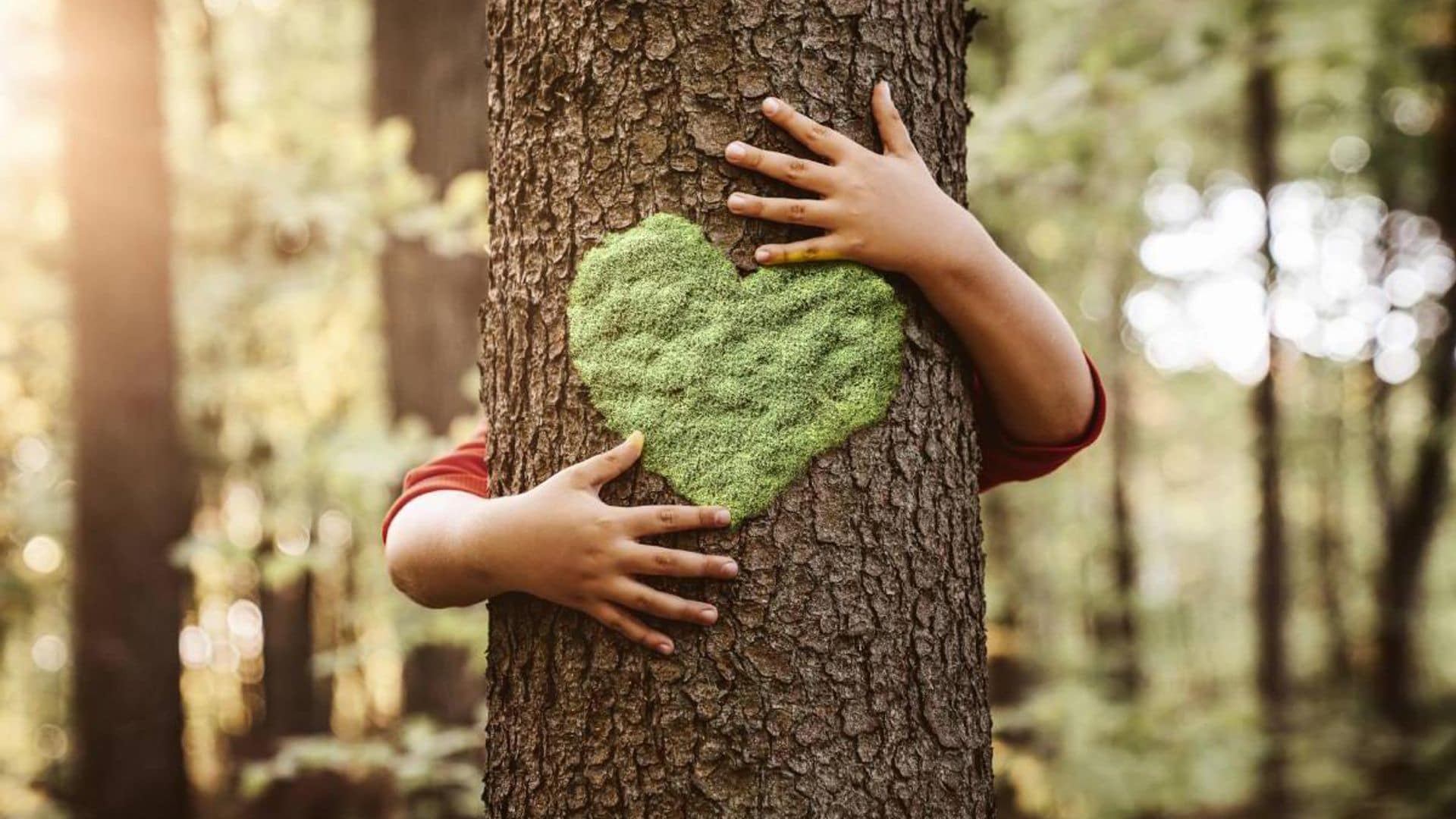 Trastorno por déficit de naturaleza, ¿cómo afecta a los niños?