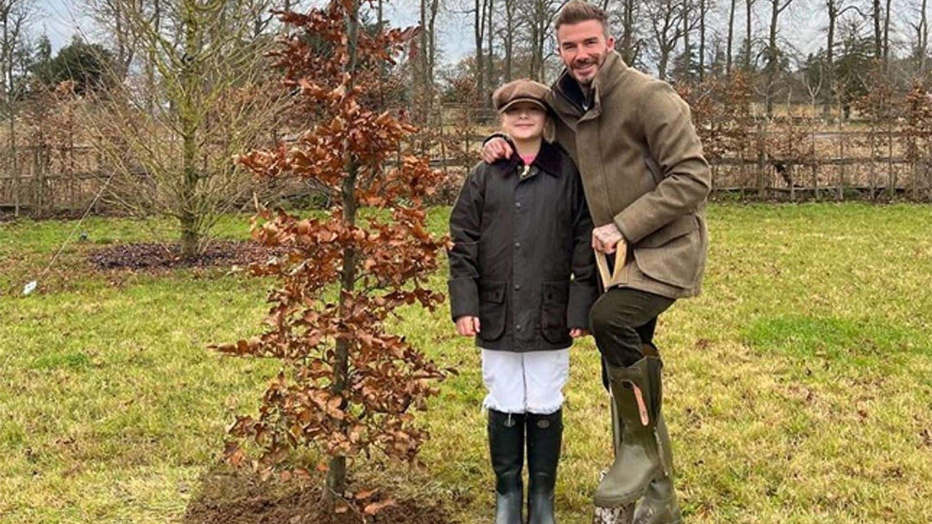 Así es la casita que Harper Beckham, de 12 años, tiene dentro de la mansión de sus padres en la campiña inglesa