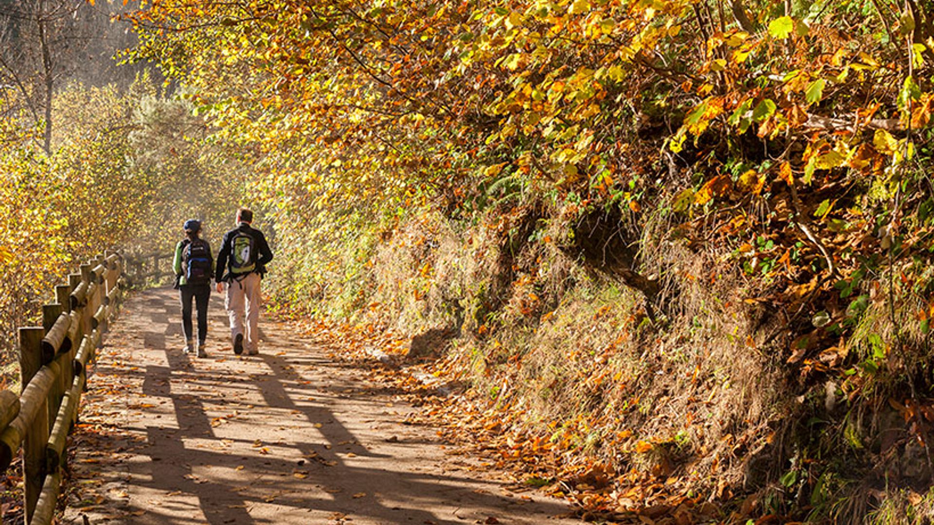 Pistas para descubrir el Parque Natural de Redes