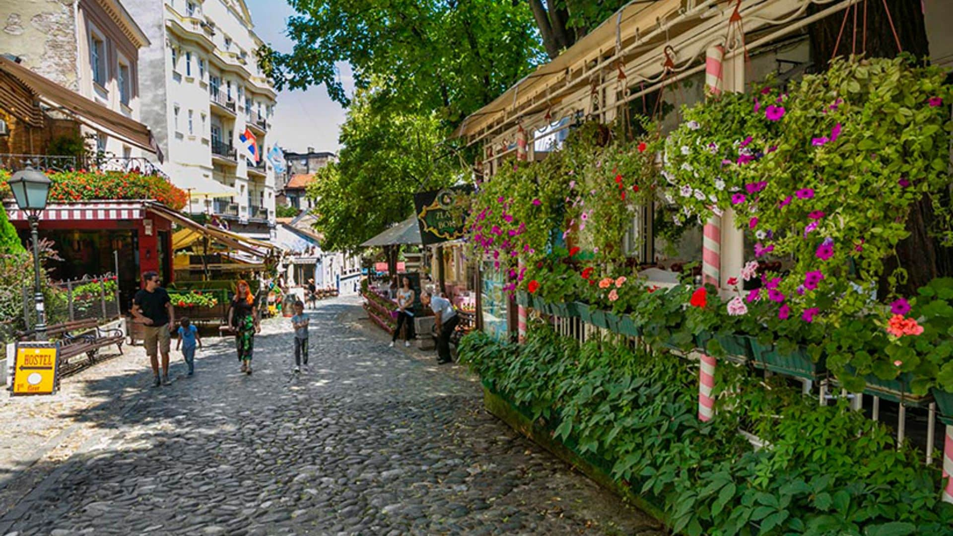 Belgrado en 48 horas, la ciudad insospechada