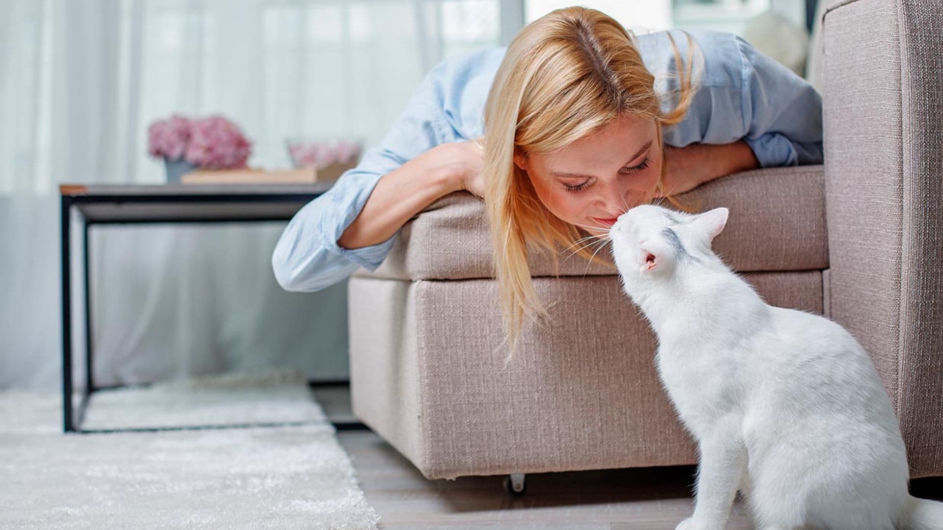 Actitudes que deberíamos aprender de nuestras mascotas