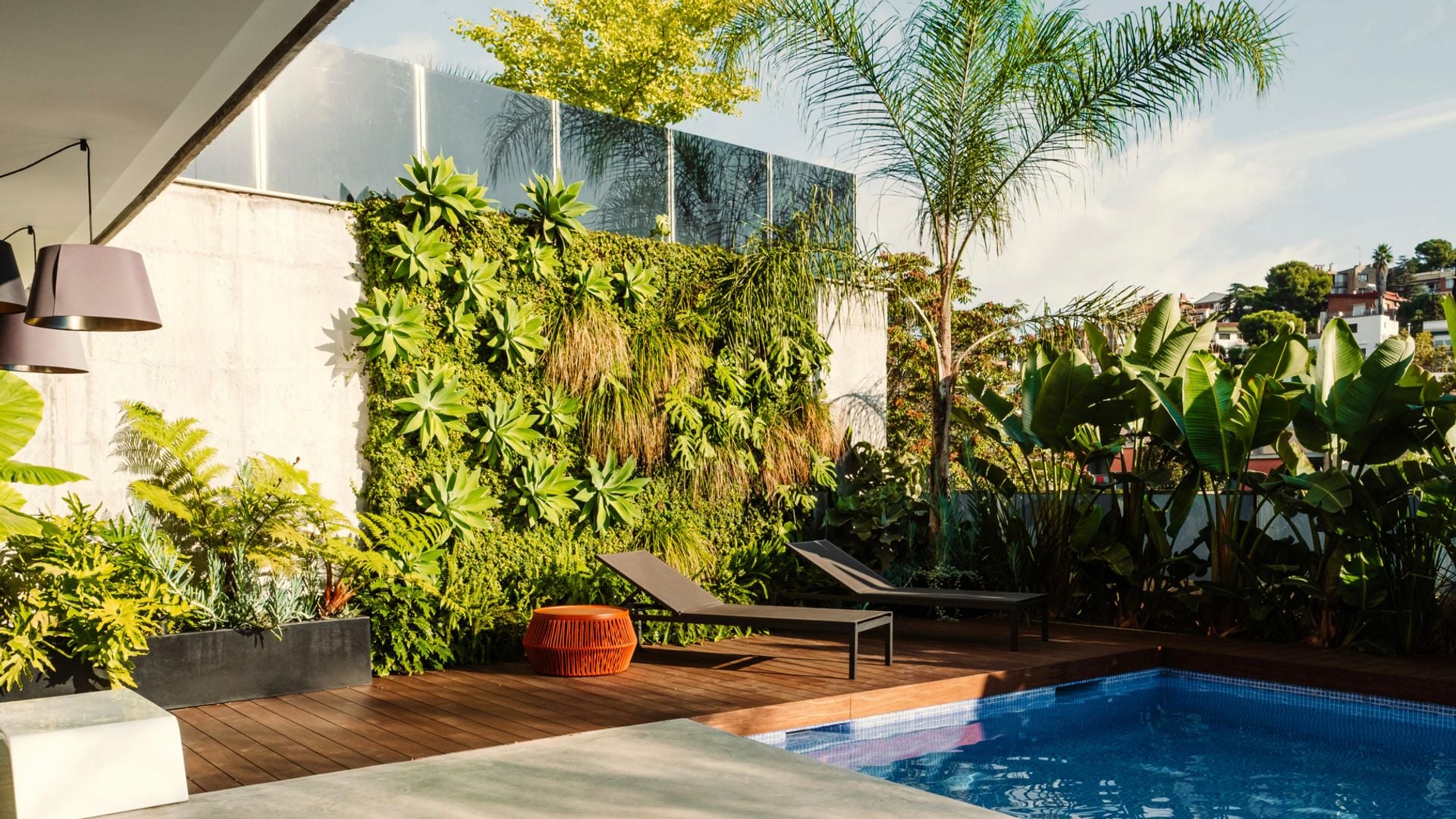 Piscina rodeada de verde, con un jardín vertical junto a la zona de solárium, en una terraza urbana diseñada por la empresa de paisajismo Simbiosi Estudi
