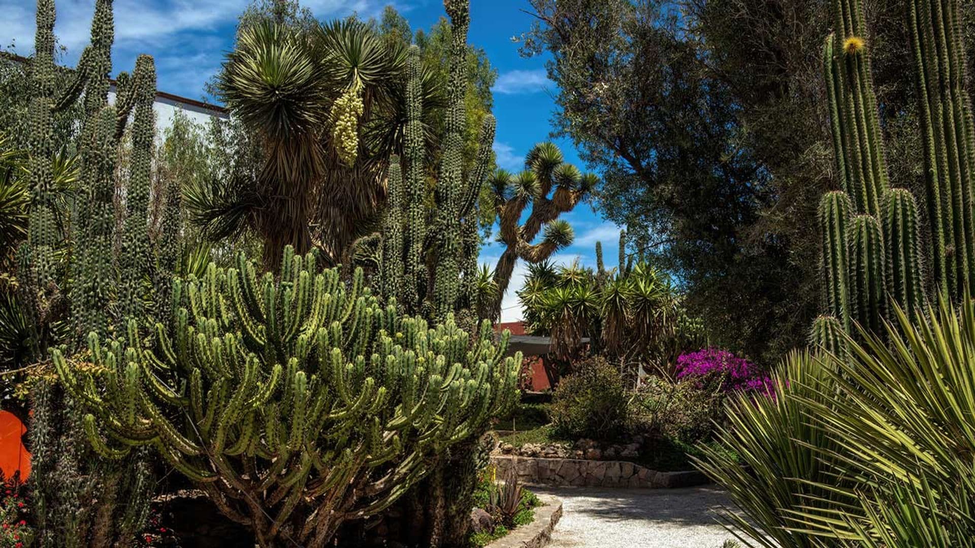 La paisajista Marta Puig ofrece las claves para diseñar un jardín que resista el cambio climático