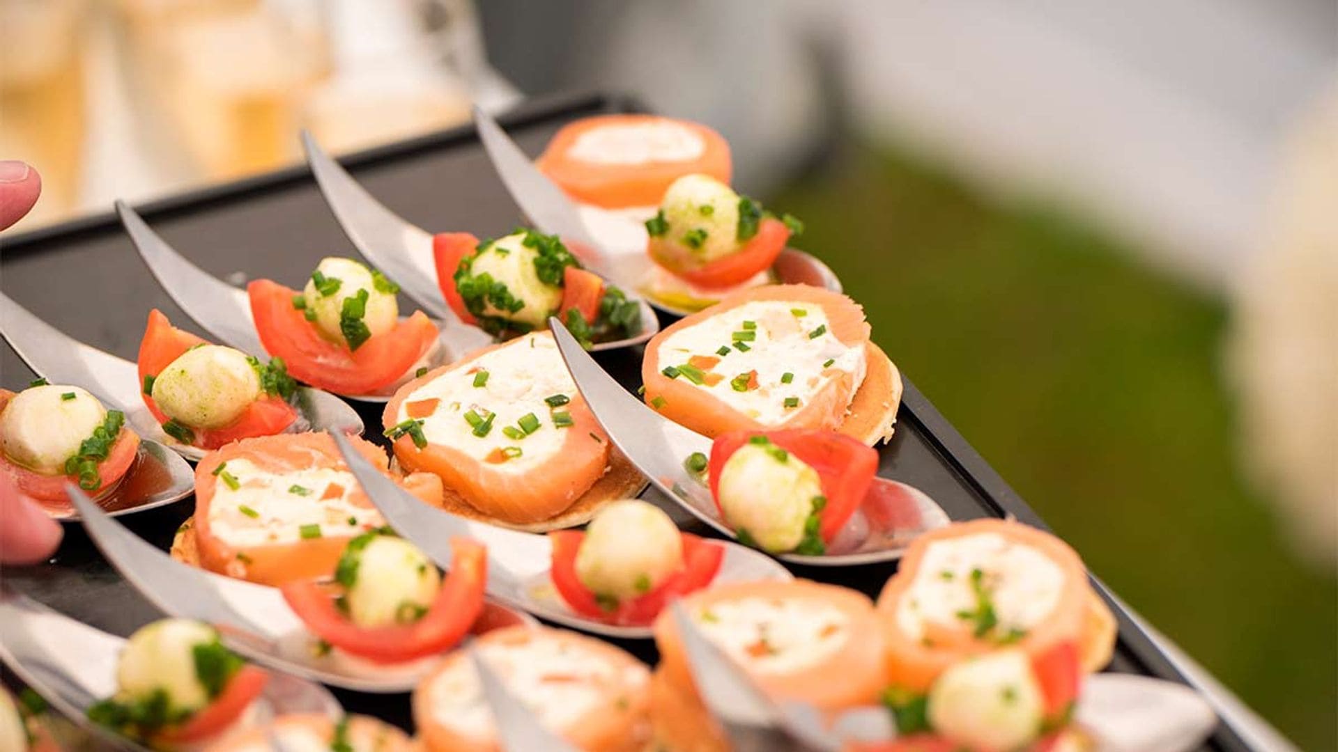 Cucharitas de salmón con queso y mozzarella con tomate