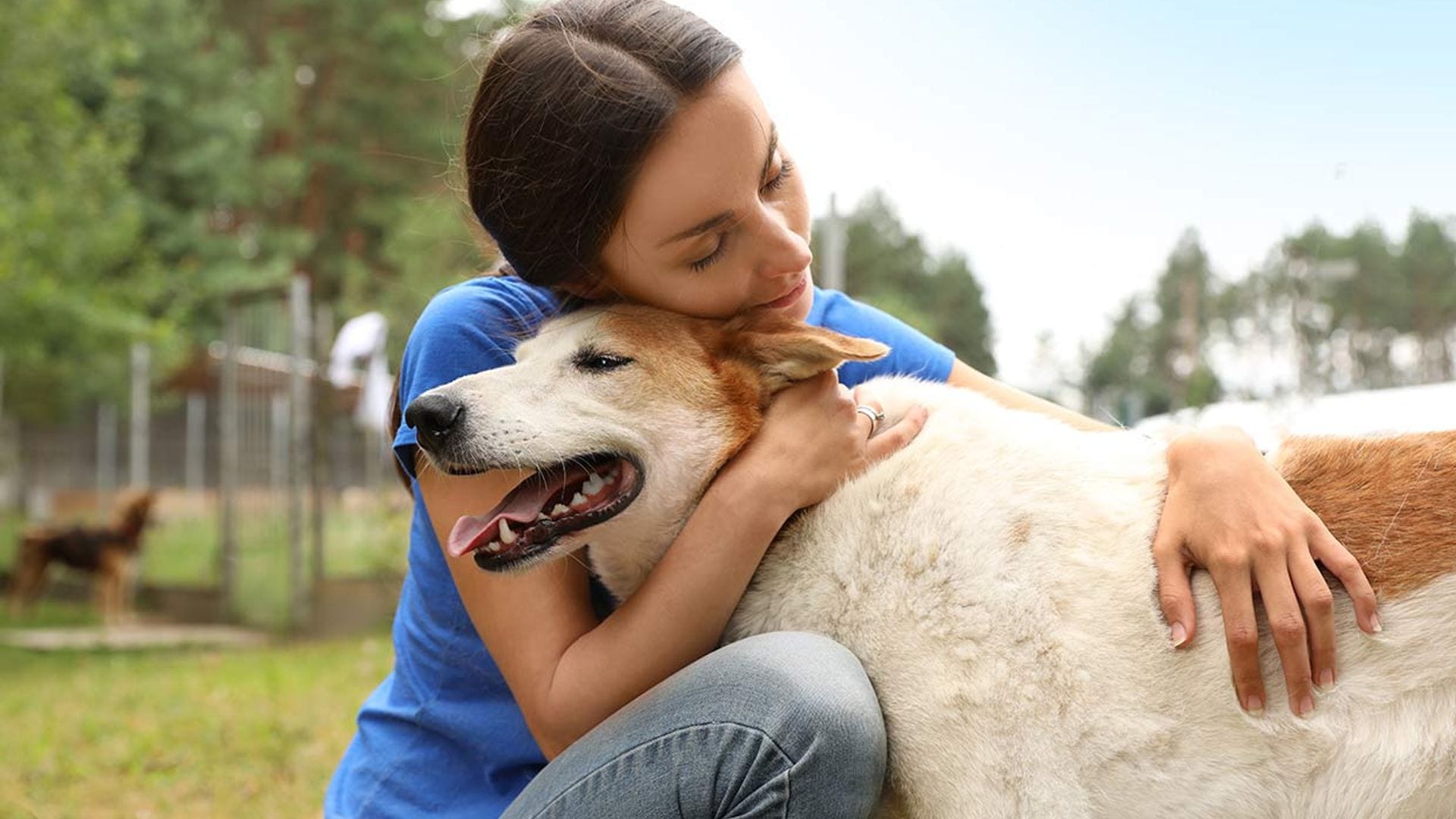 Abrazar a tu perro te produce calma y bienestar (y existe un motivo científico)