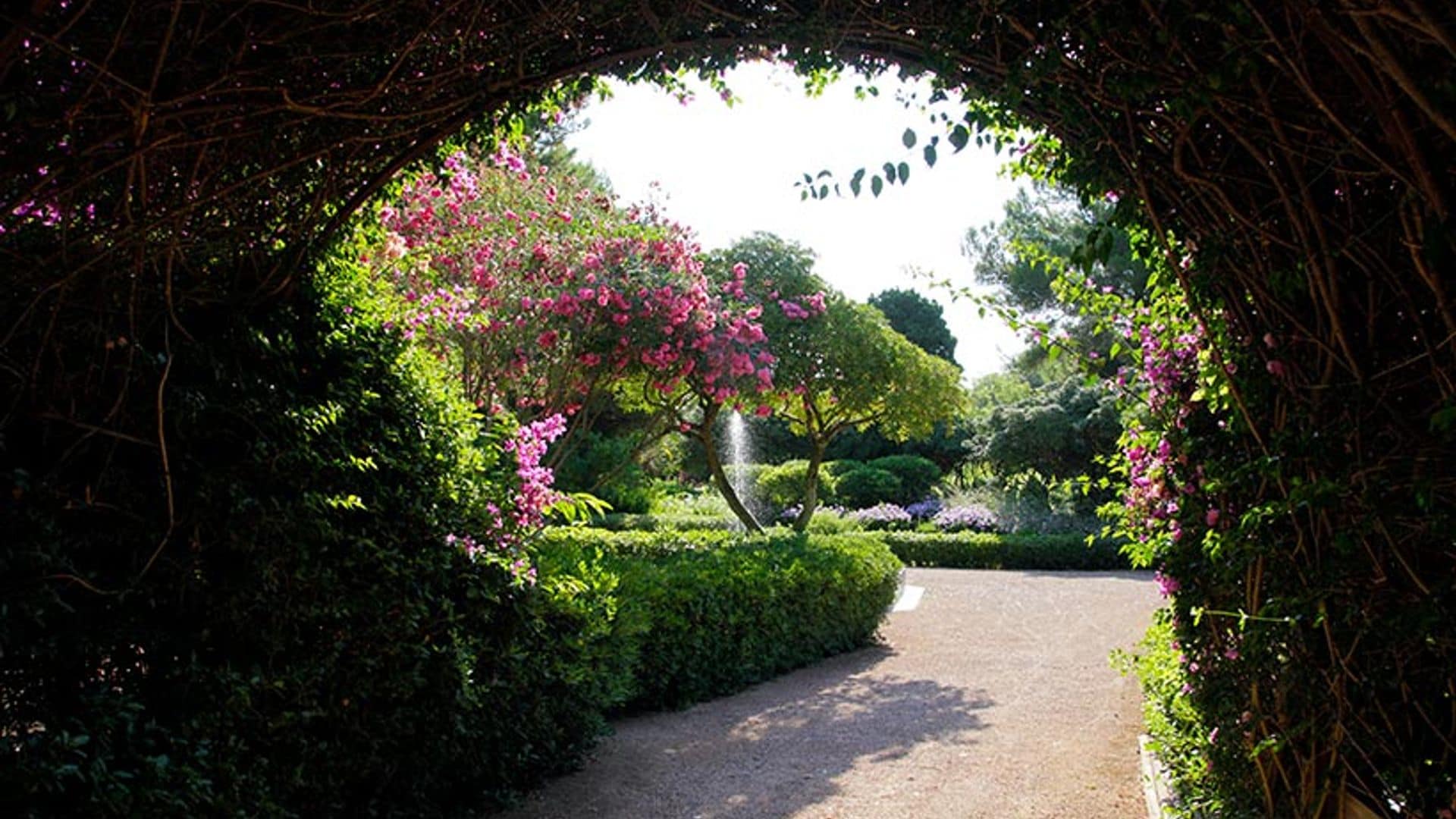 Los jardines del palacio de Marivent, abiertos al paseo