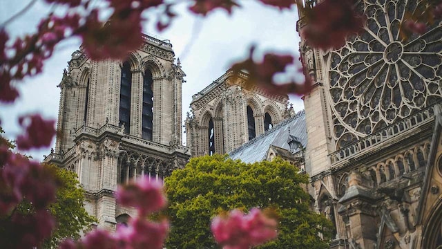 notre dame px