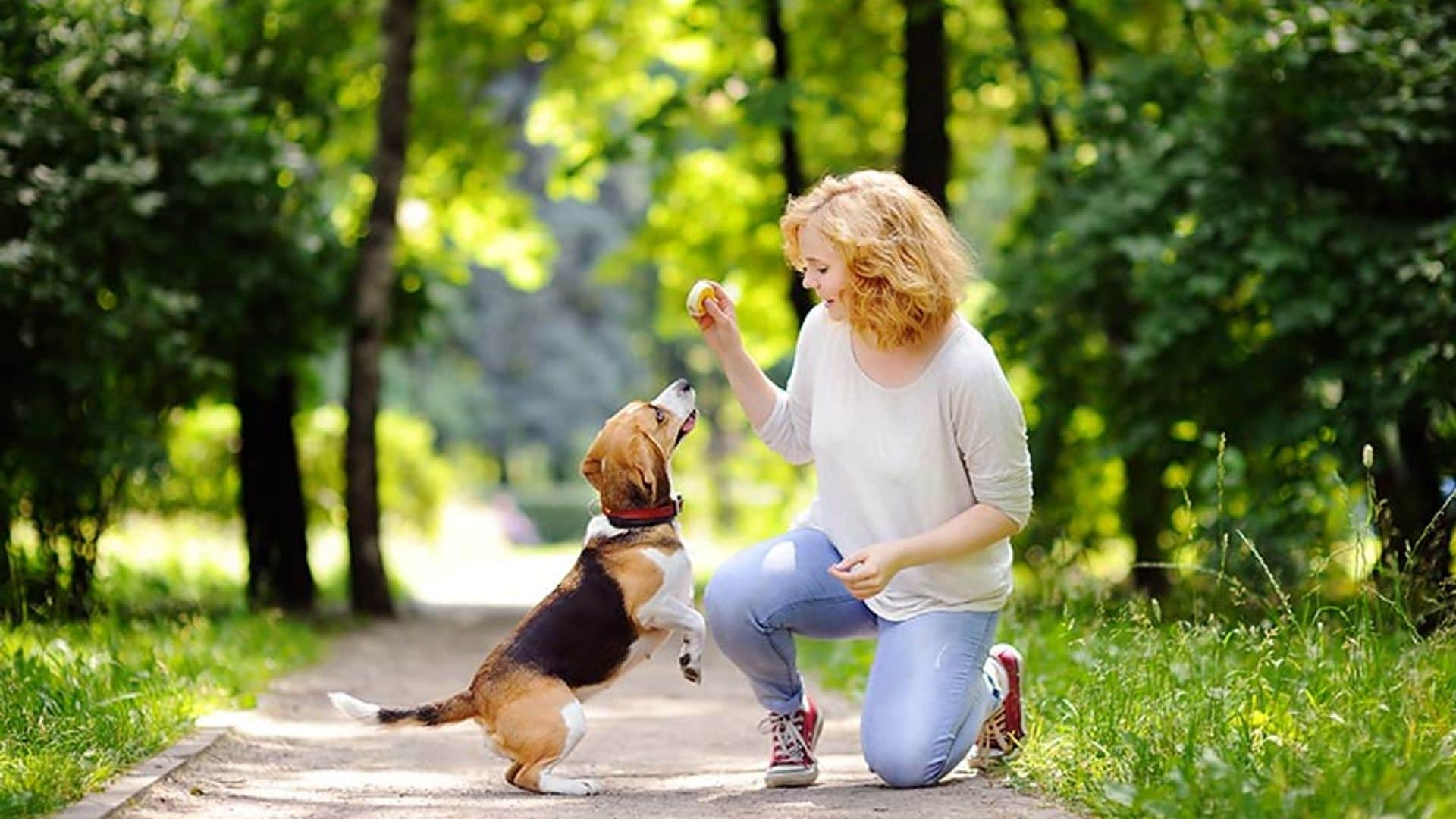 Si hablas a tu perro como si fuera un niño, te hará más caso