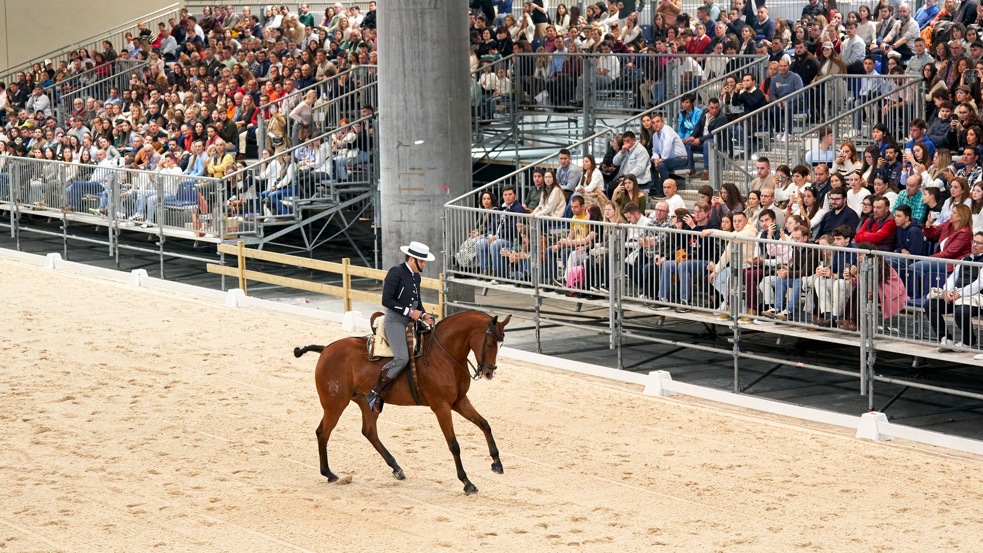  Ifema Madrid Horse Week 25 de noviembre 2023 DOMA