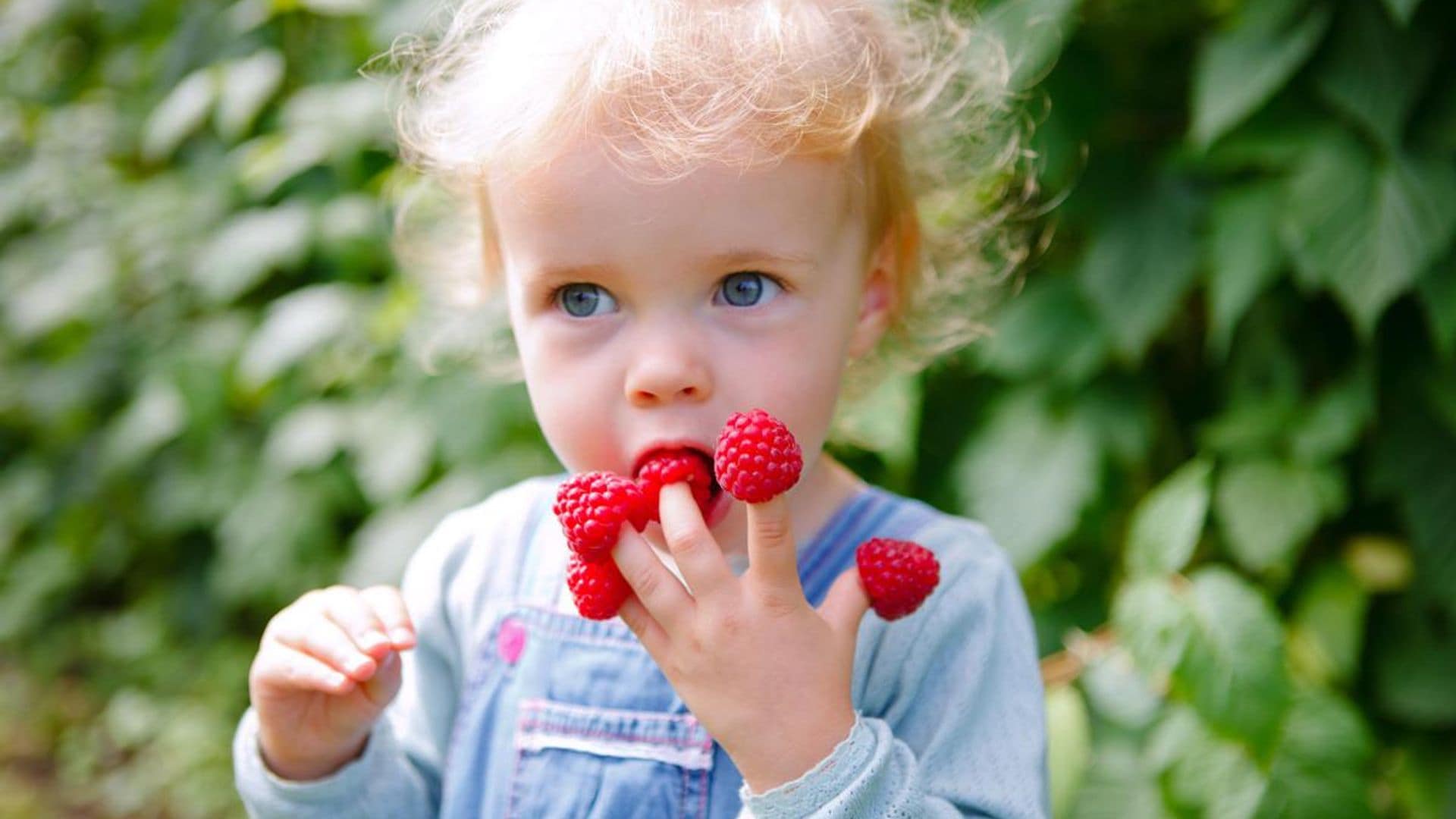 Desmontamos 10 de las creencias más extendidas sobre la alimentación infantil