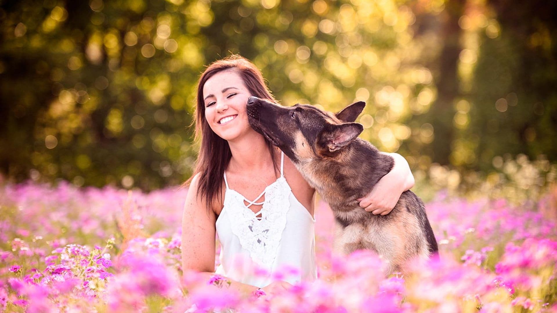 Estas son las razas de perro más amorosas