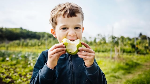 ni o come una manzana