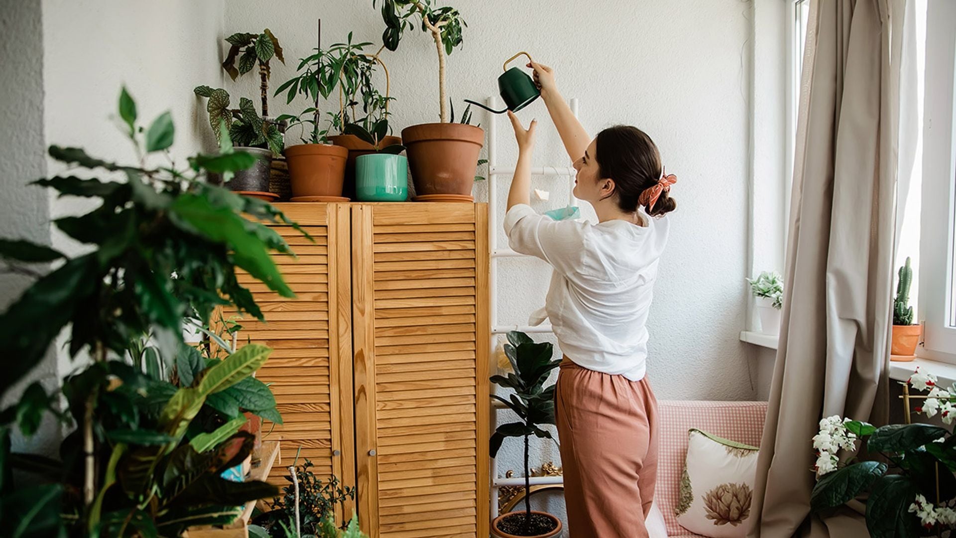 9 cosas básicas que todo amante de las plantas debería saber