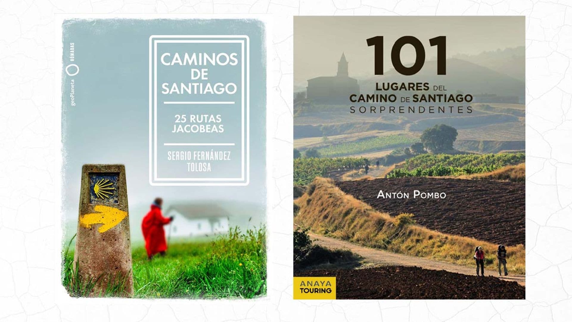 ¿Haces este año el Camino de Santiago? Prepárate bien con alguno de estos libros