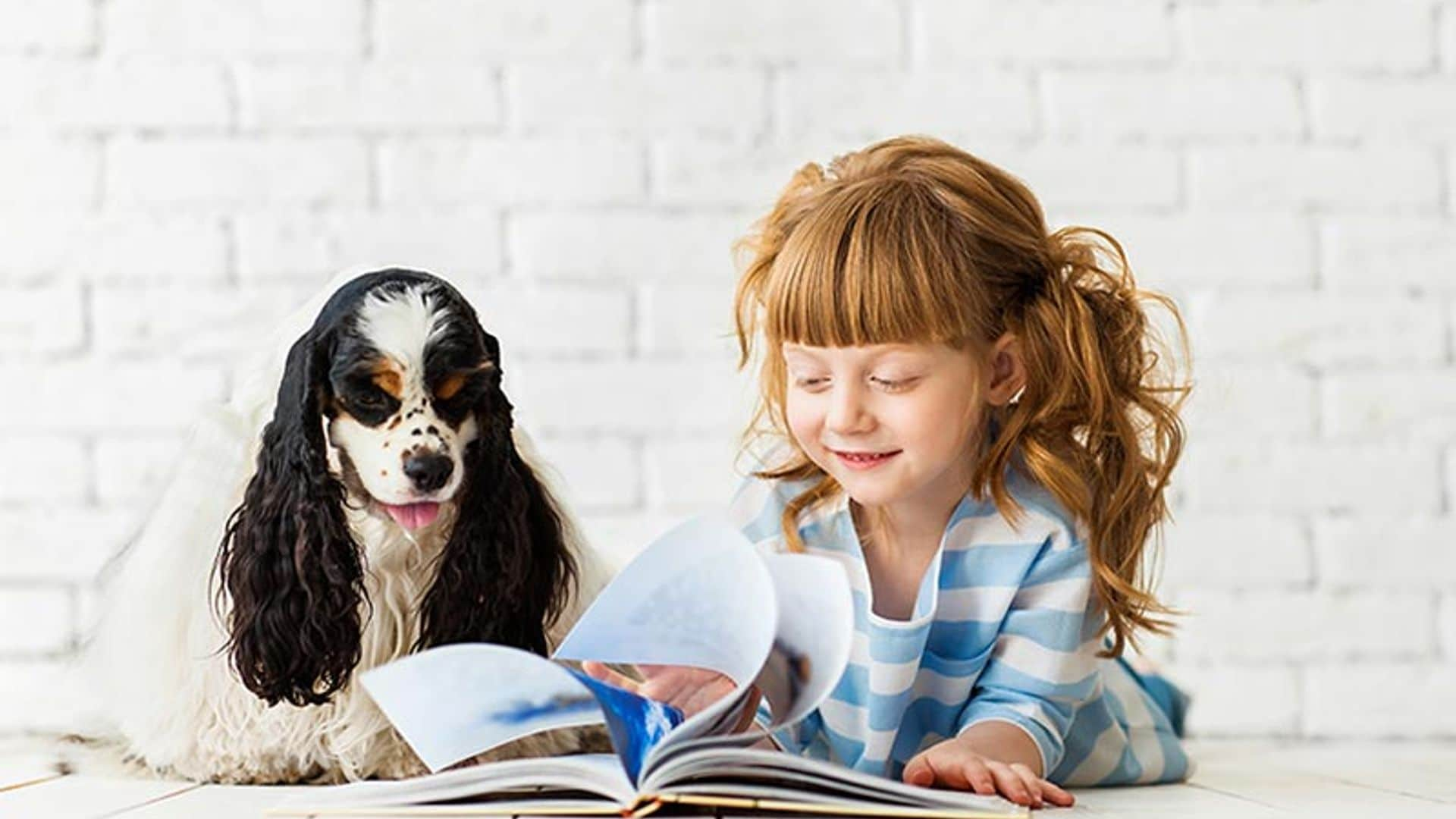 Este perro ayudará a tu hijo a leer mejor