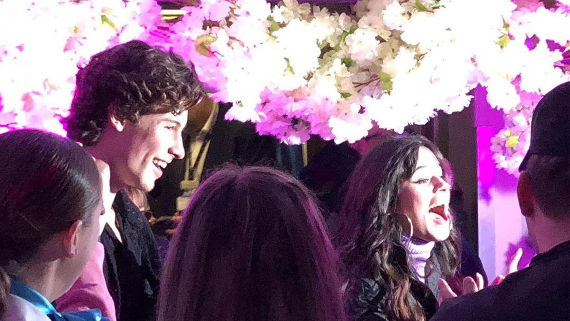 Shawn Mendes viaja 3,900 millas y sorprende a Camila Cabello en su fiesta de cumpleaños