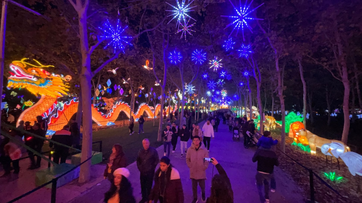 7 destinos navideños cerca de Madrid con magia, tradición y encanto