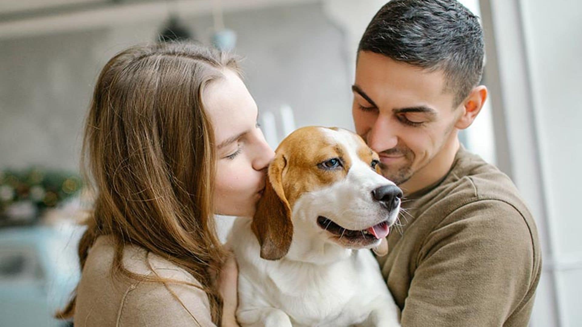 Quieres tener un perro pero estos miedos te lo impiden