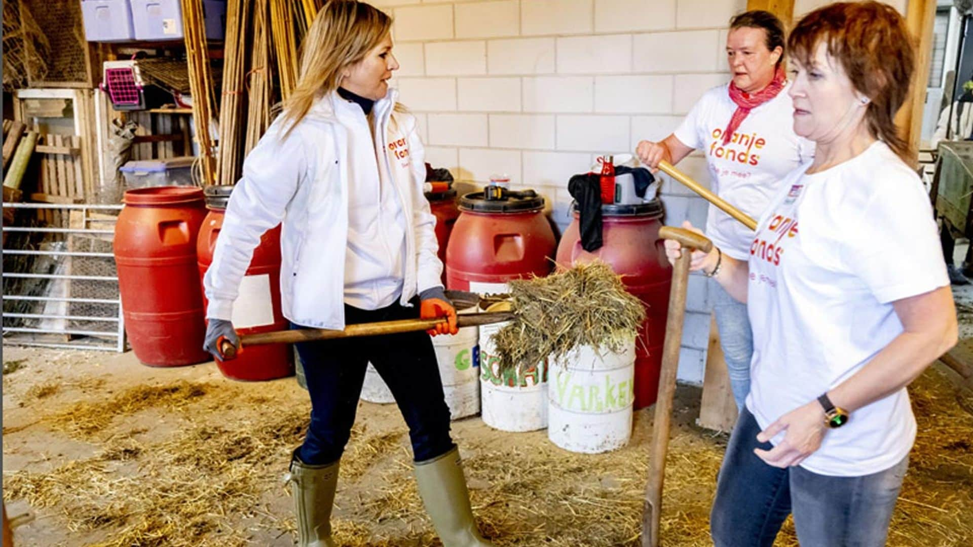 ¡Dos auténticos granjeros! Las sorprendentes imágenes del voluntariado de Máxima y Guillermo de los Países Bajos