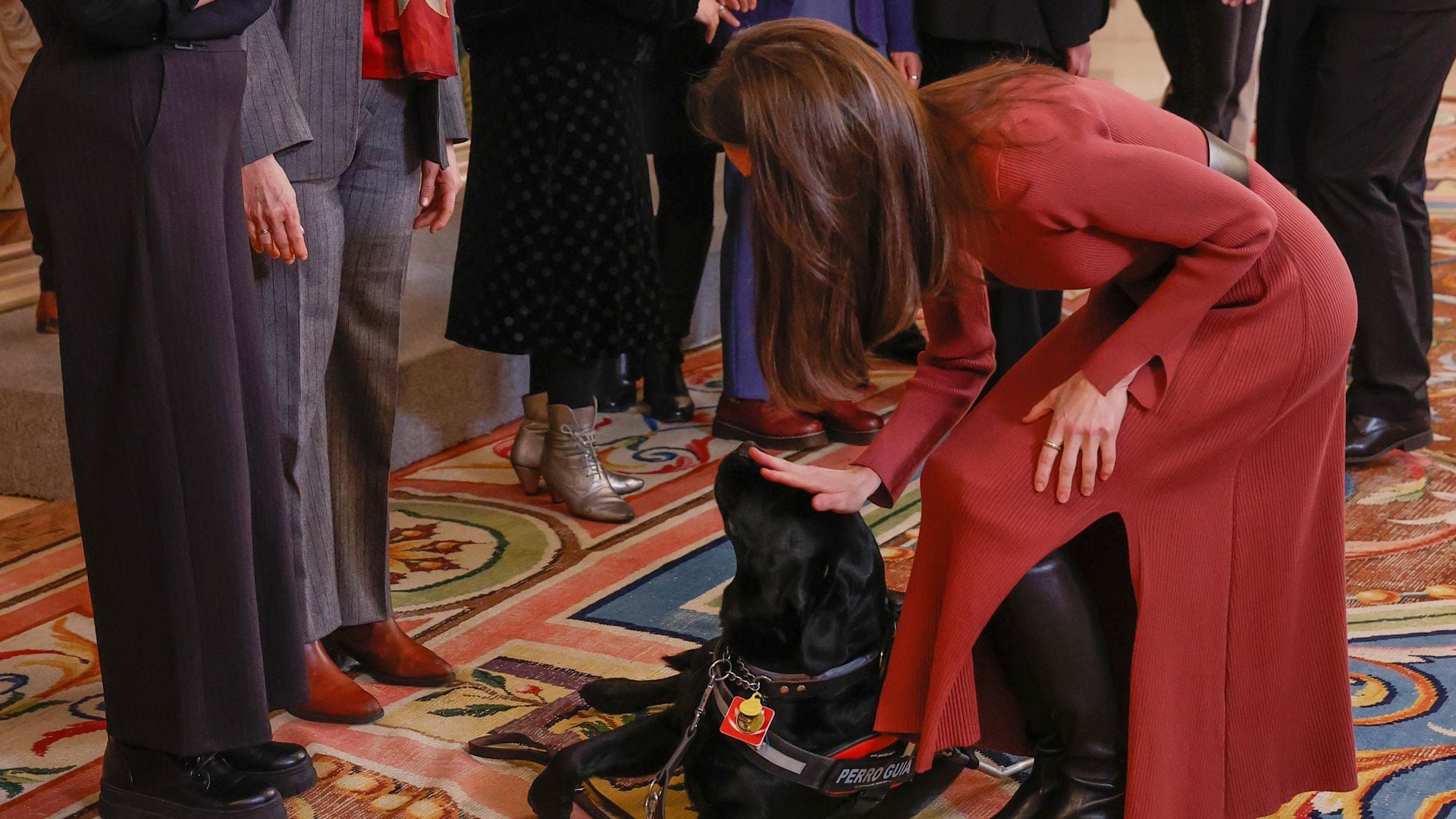 El entrañable gesto de la reina Letizia con un perro guía que deja al descubierto su pasión por los animales