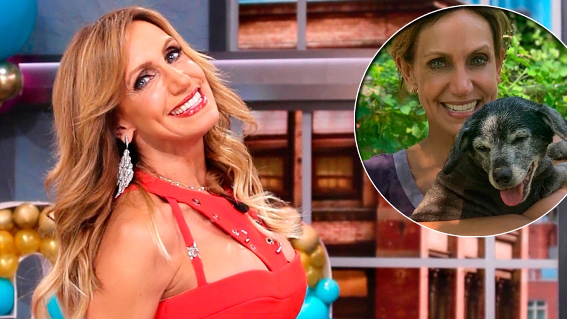 ¡Buenas noticias! Lili Estefan se reencuentra con Sushi, su perrita perdida