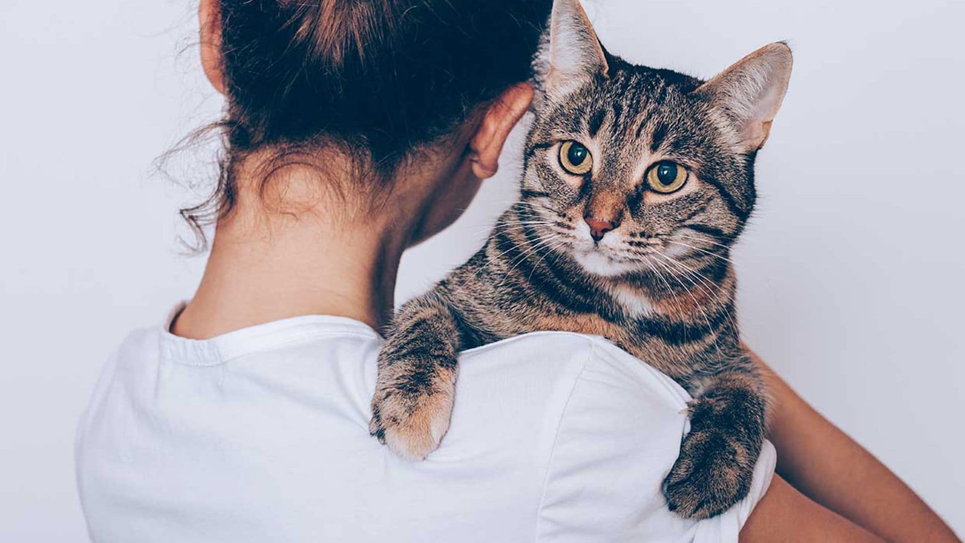 Las mascotas también se enfadan y estresan: estos son los síntomas