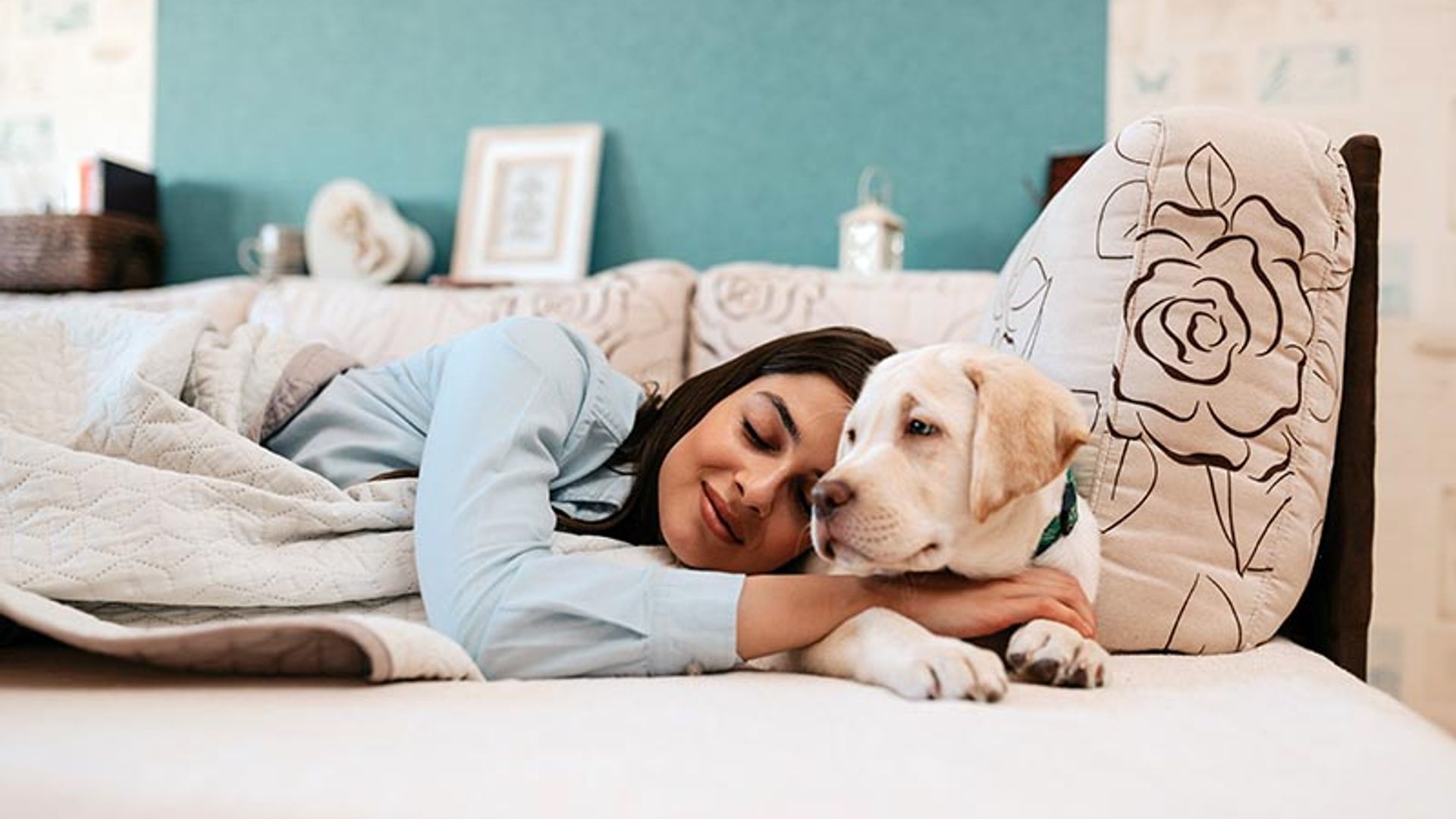 Pros y contras de dormir con perros