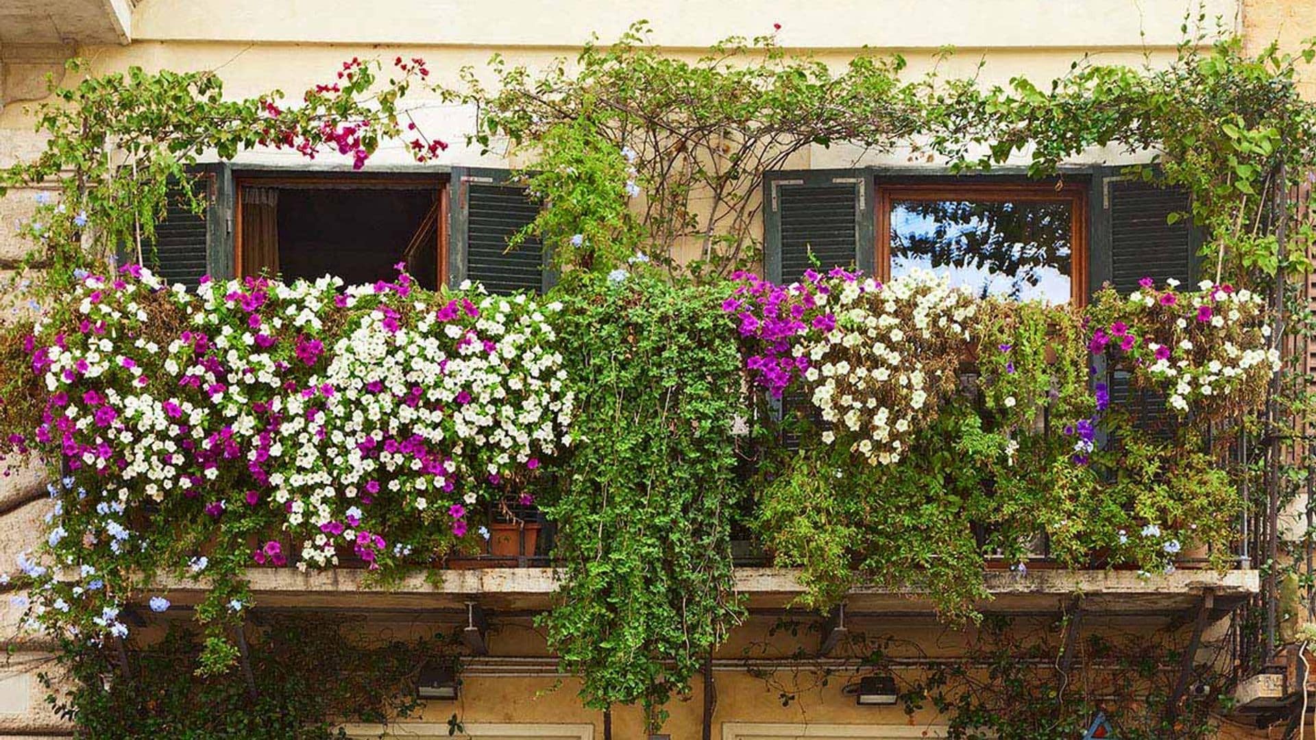 Las mejores plantas para convertir tu balcón en un vergel antes de que llegue la primavera