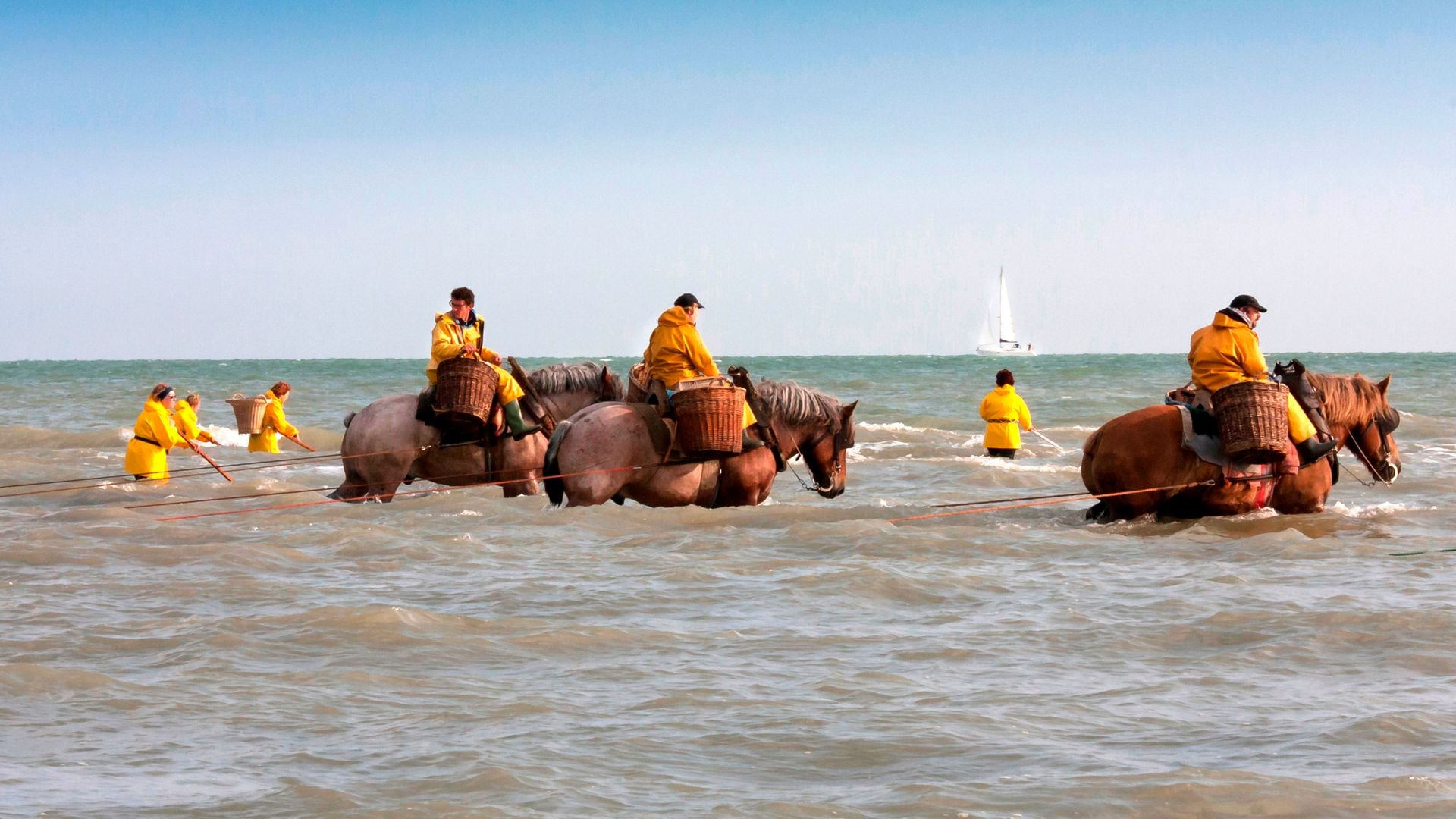 Ostende: playas de ensueño, camarones y mucho arte en la costa de Flandes