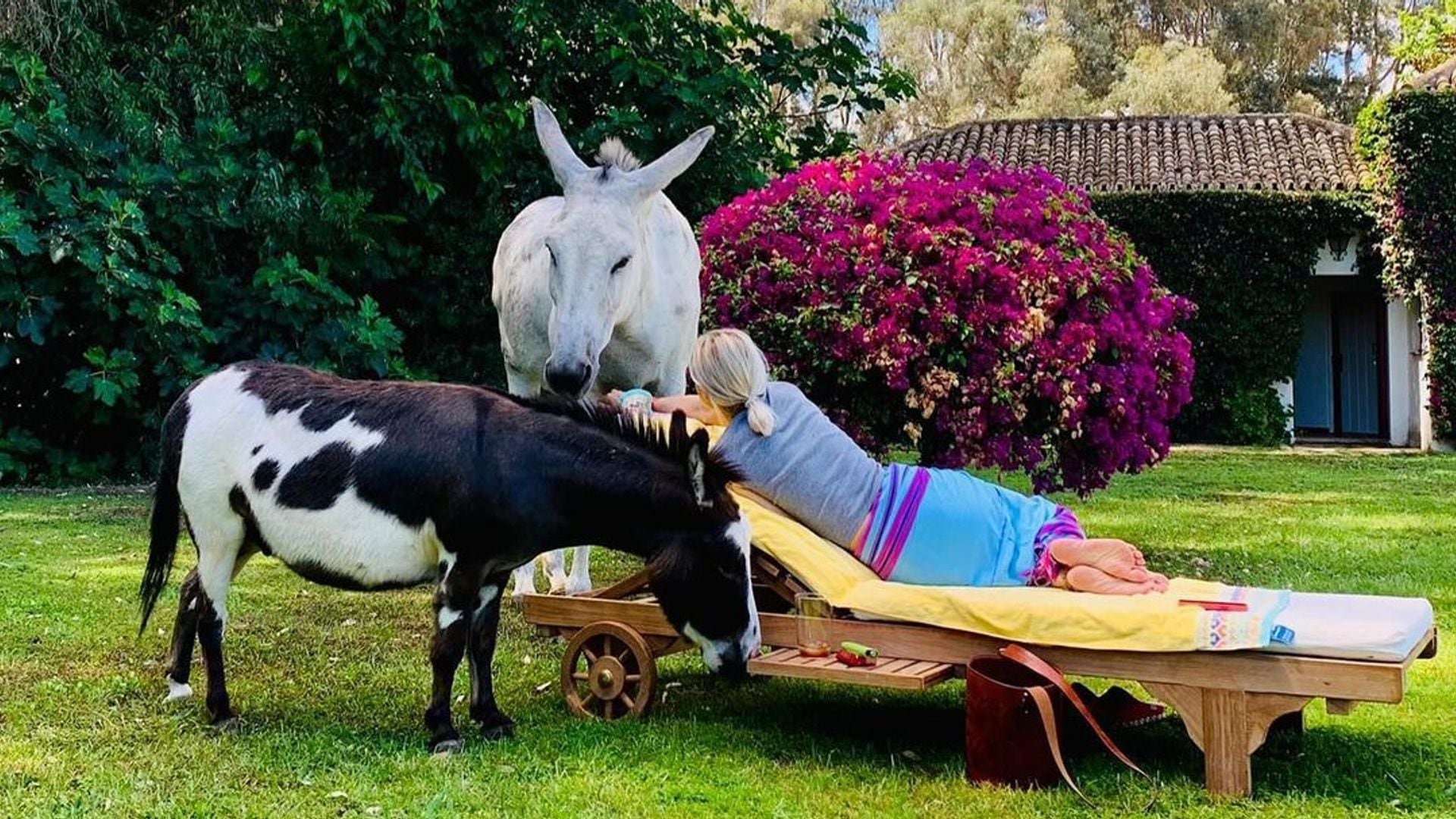 La bonita historia que esconden las fotos de Eugenia Martínez de Irujo con su burro Benjamín y su caballo López