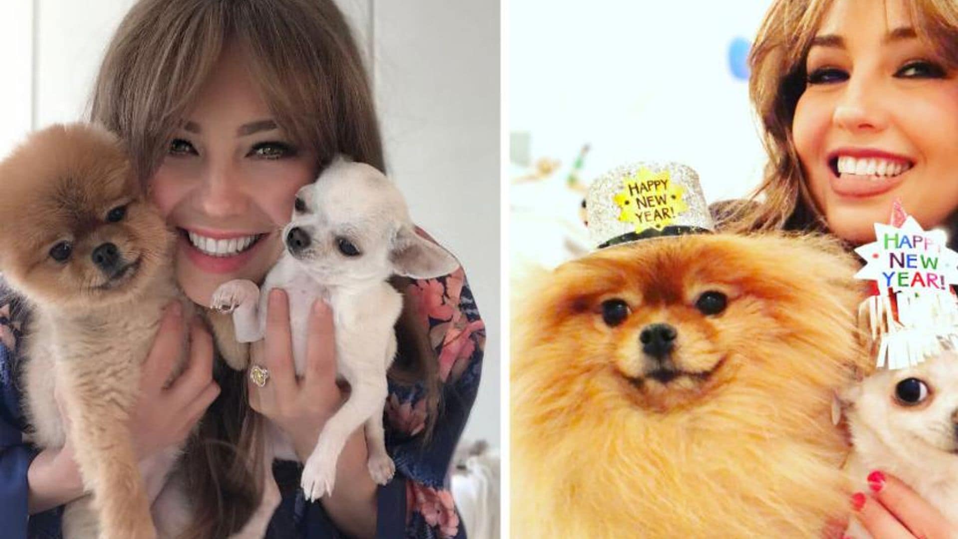 Thalía no solo es consentidora con sus hijos... ¡también con sus perros!