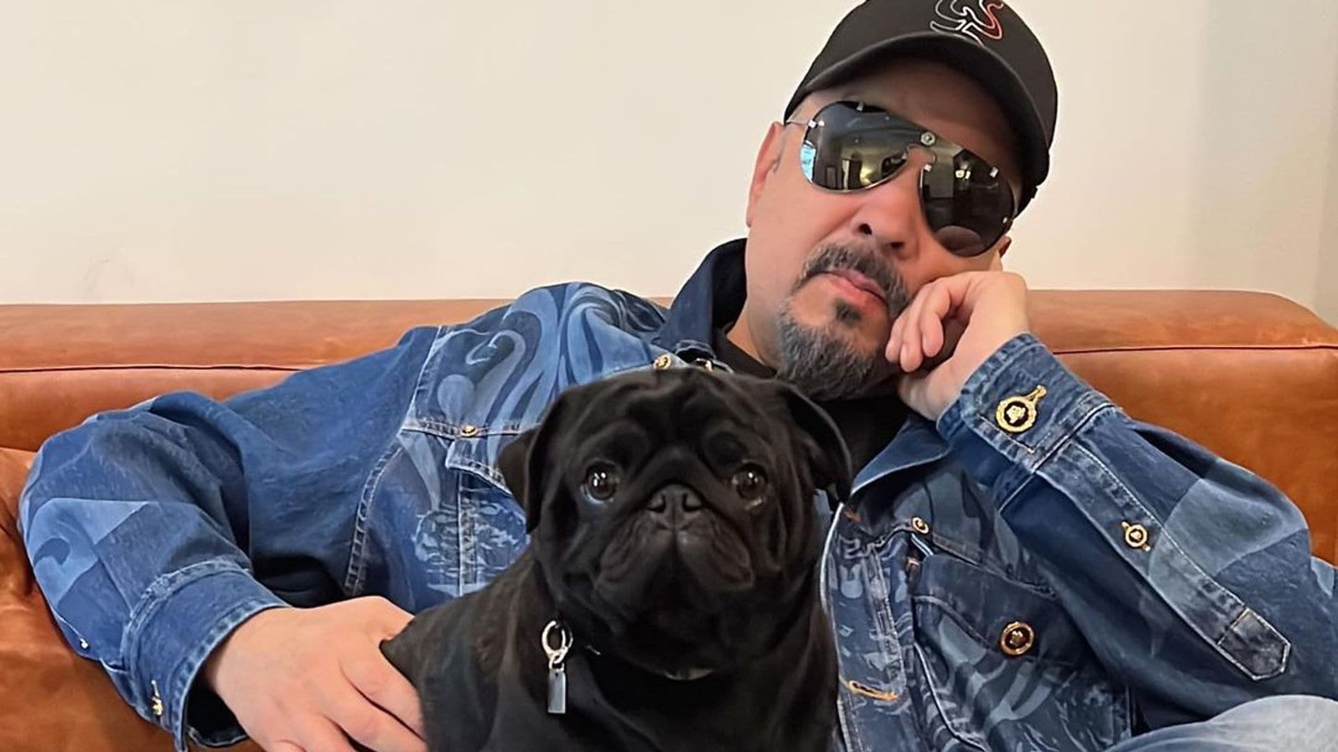 La vida de lujos de 'Gordo', el adorable perro pug de Pepe Aguilar