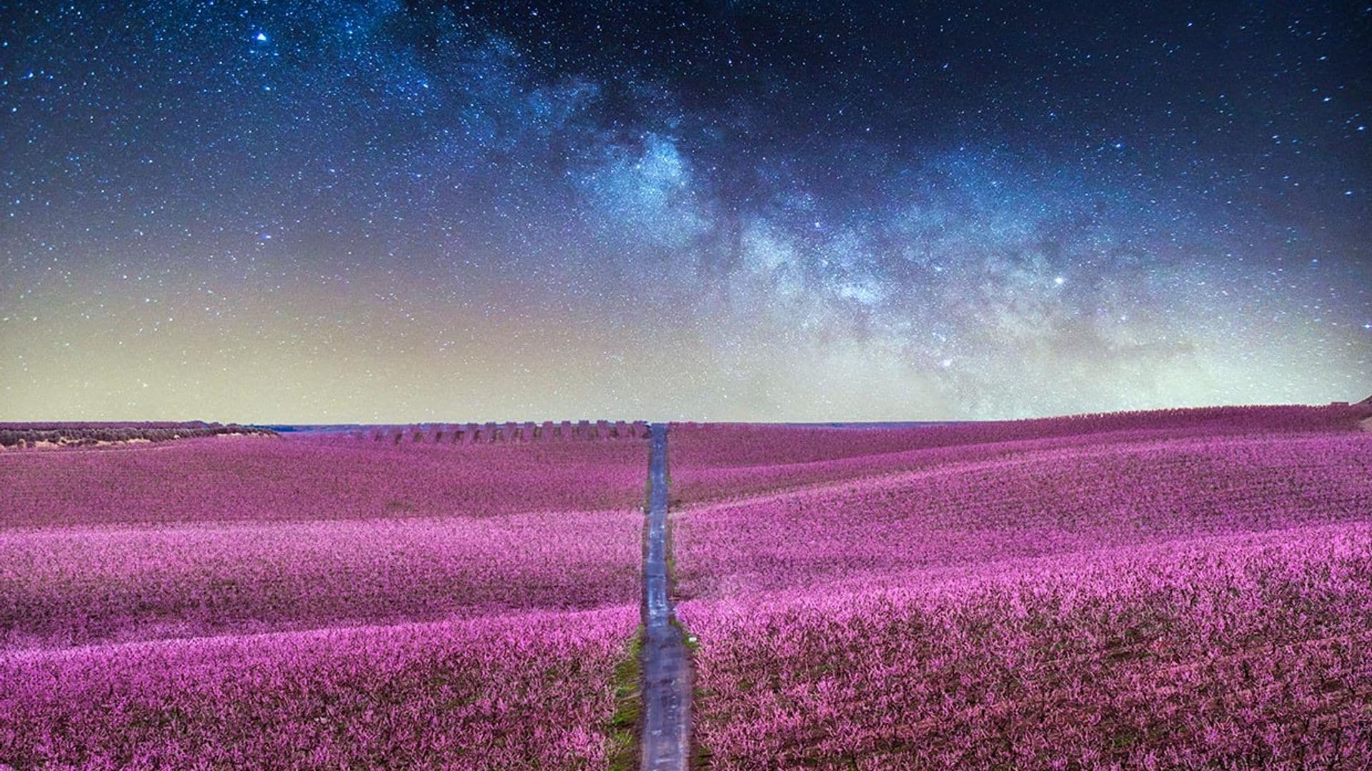 Paisajes de primavera con millones de flores para ver desde la ventana