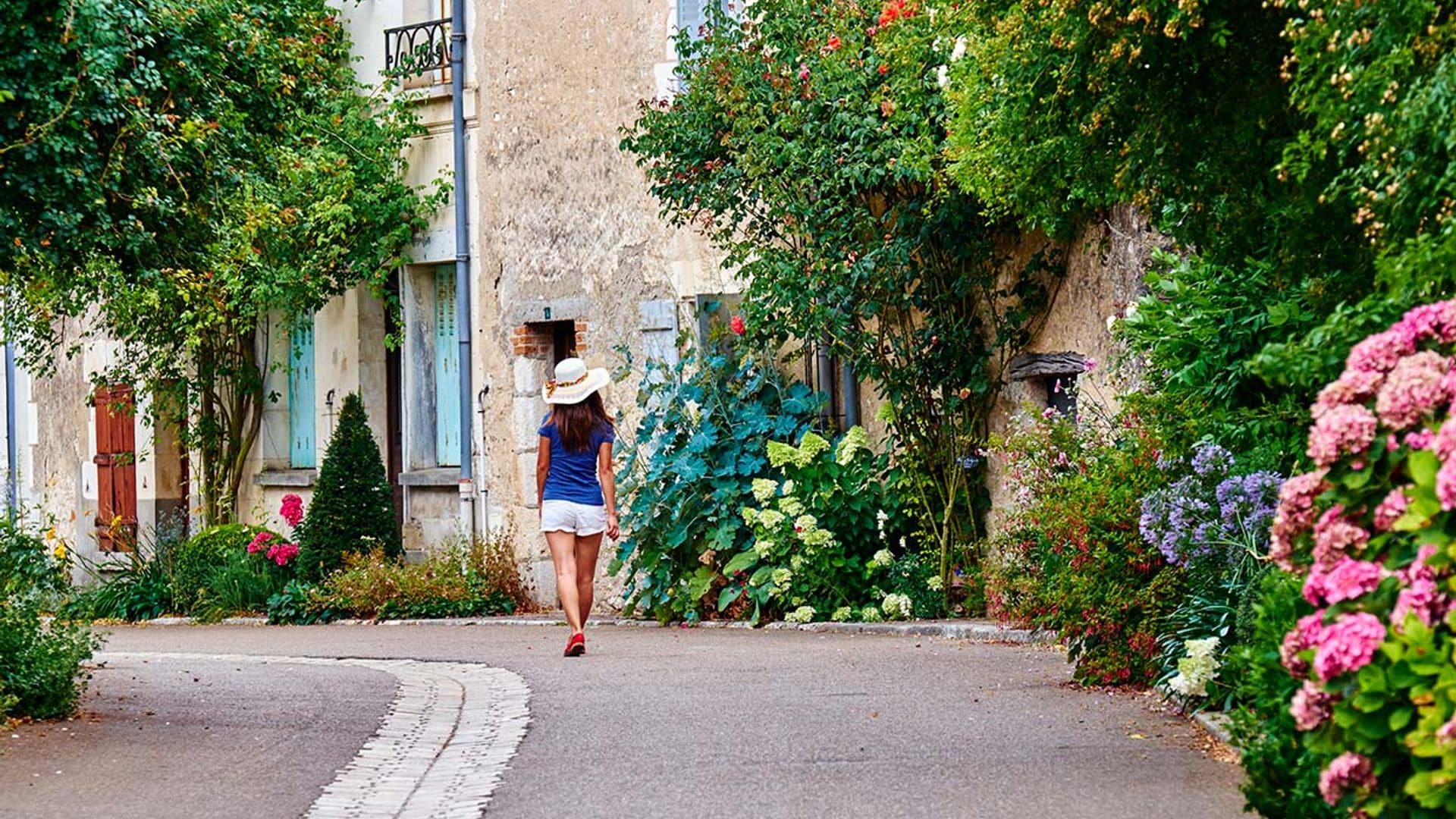 Chédigny, el pueblo francés perfumado por miles de rosas