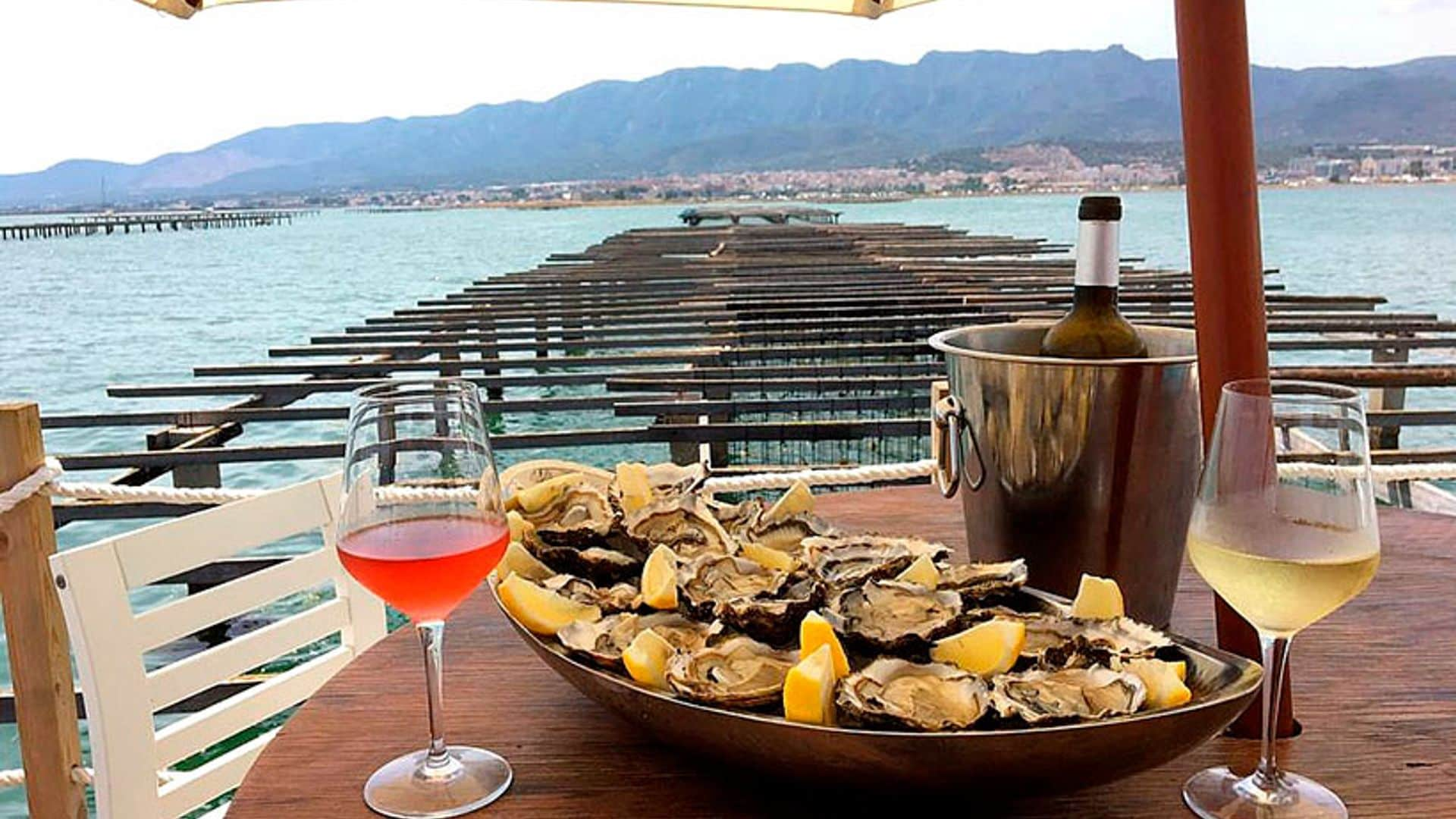 ¡Marchando una de ostras sobre las bateas del Delta del Ebro!