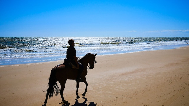 playacaballos