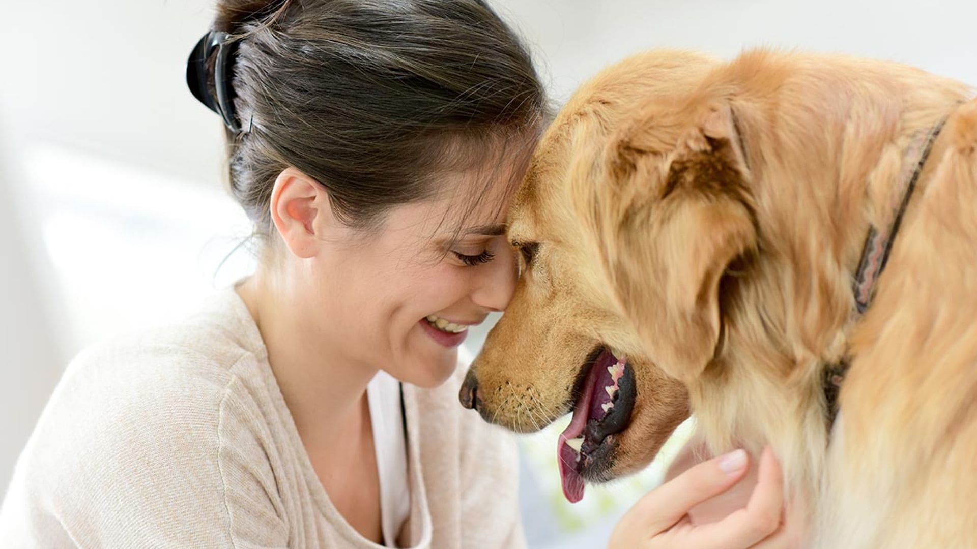 Tu perro tiene muchas cosas que decirte, y lo hace de estas formas