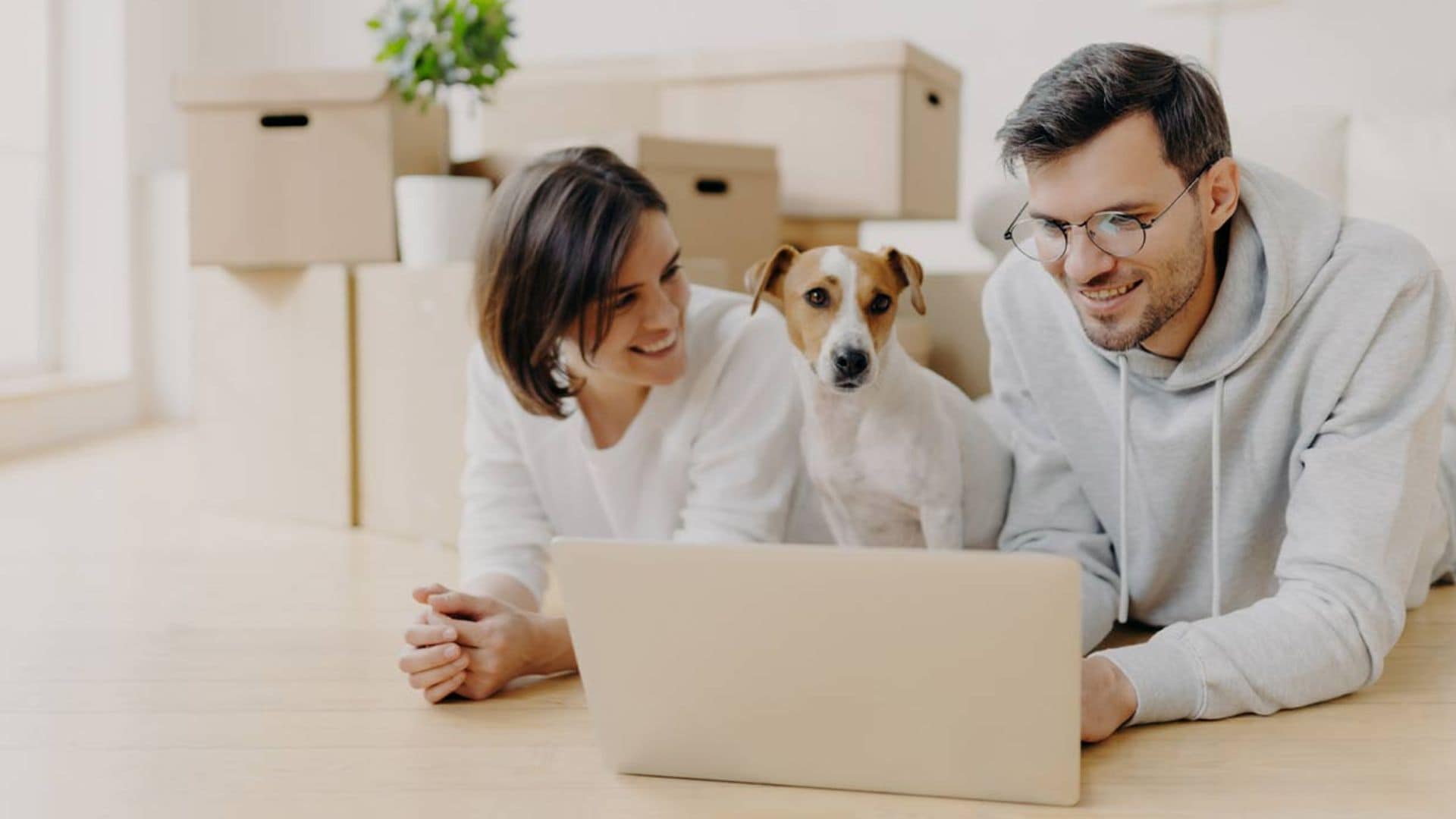 Cuando tu mascota te sigue a todas partes: ¿Has oído hablar de los 'perros velcro'?