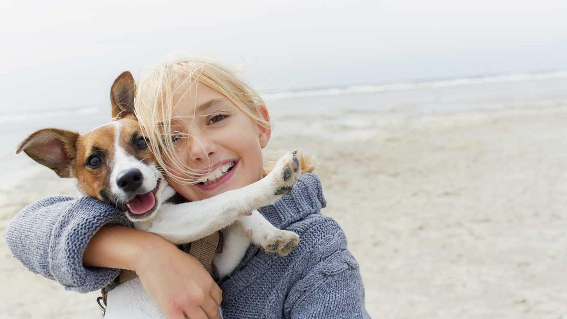 La calidad de vida de los perros estará protegida por ley